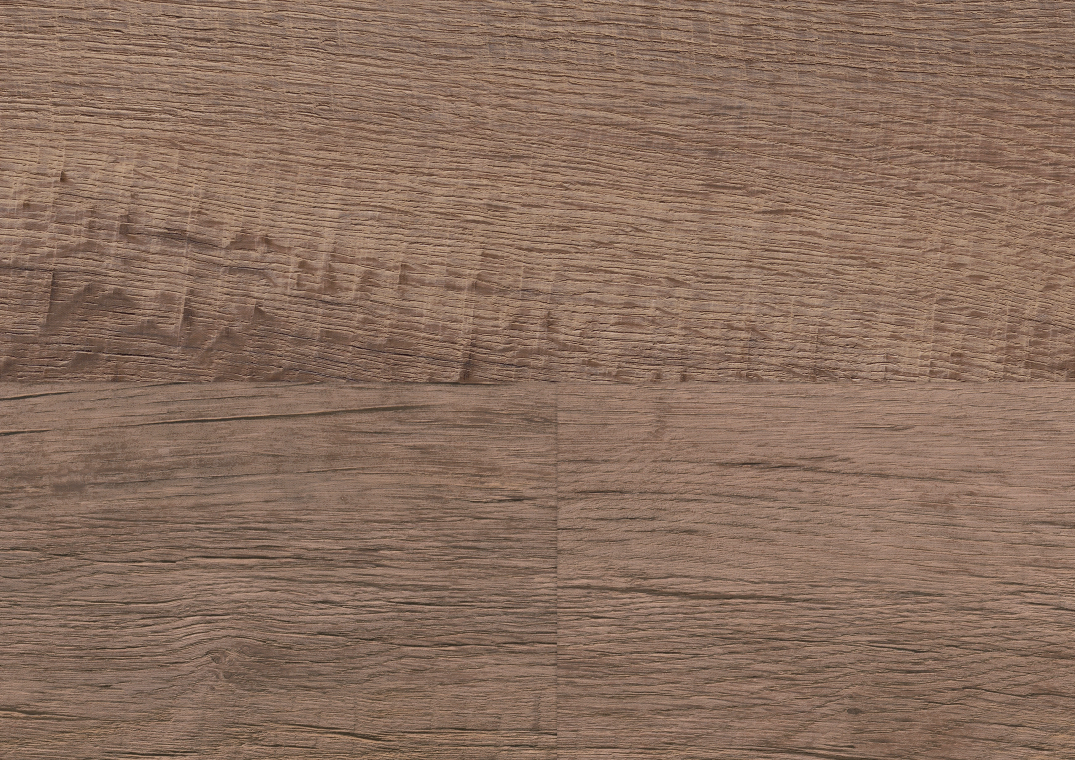 Oak Salvador