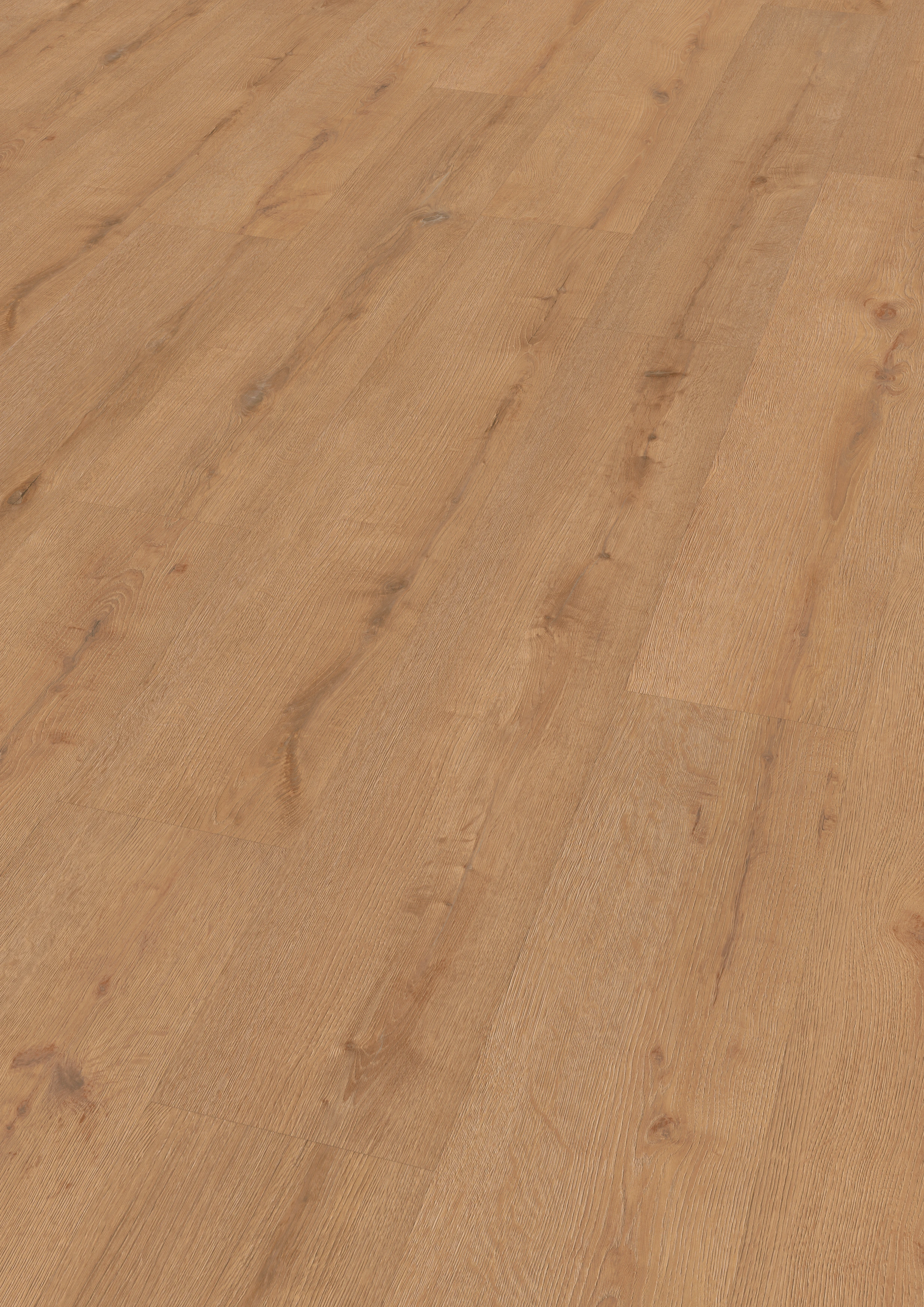Oak Hamburg