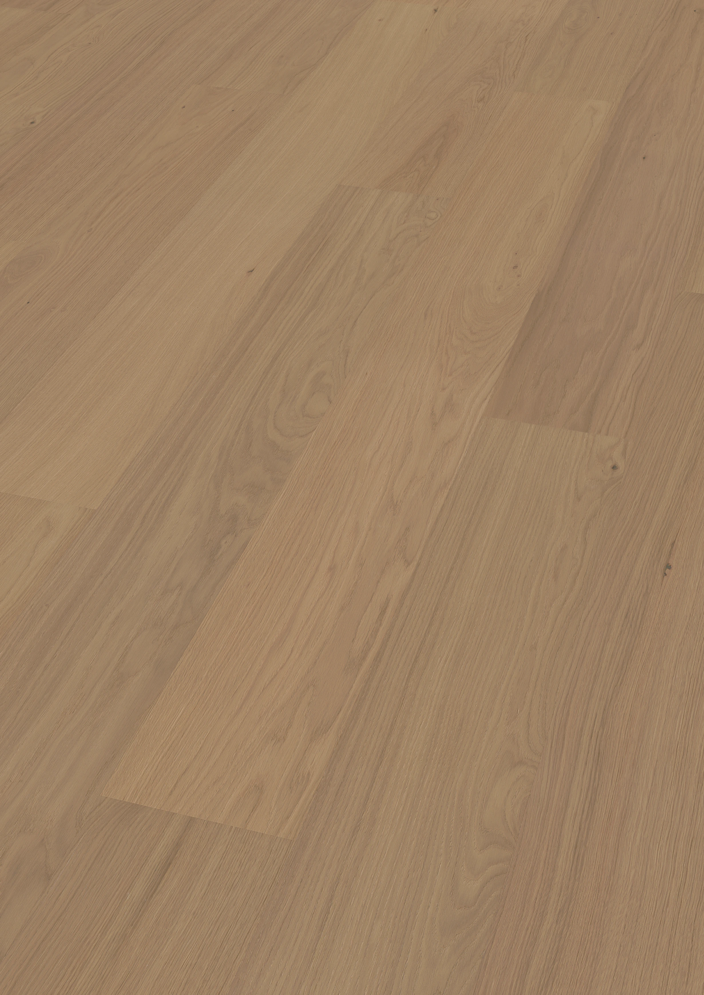 Chêne Thousand Islands