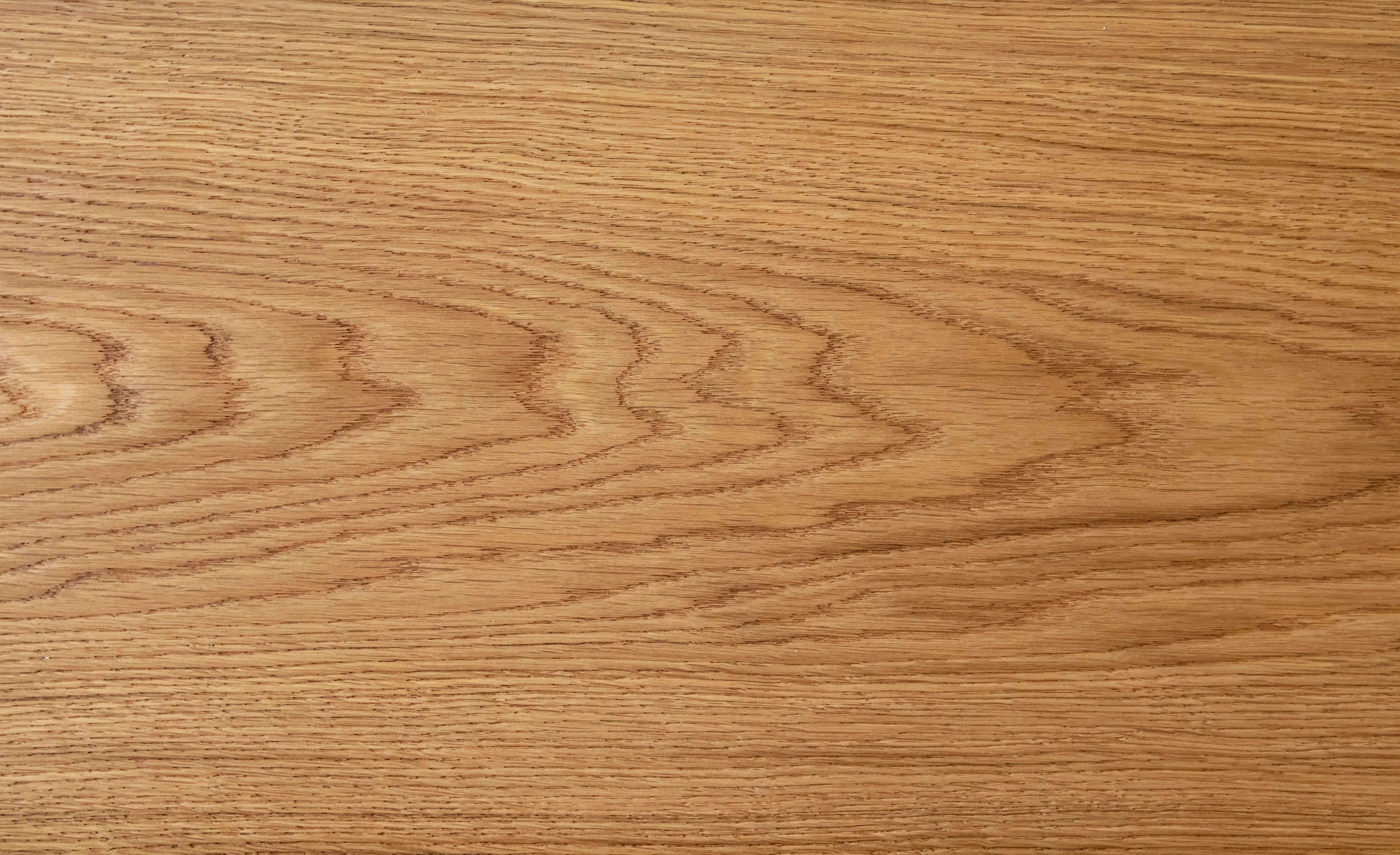 Oak No.14 - Windsor
