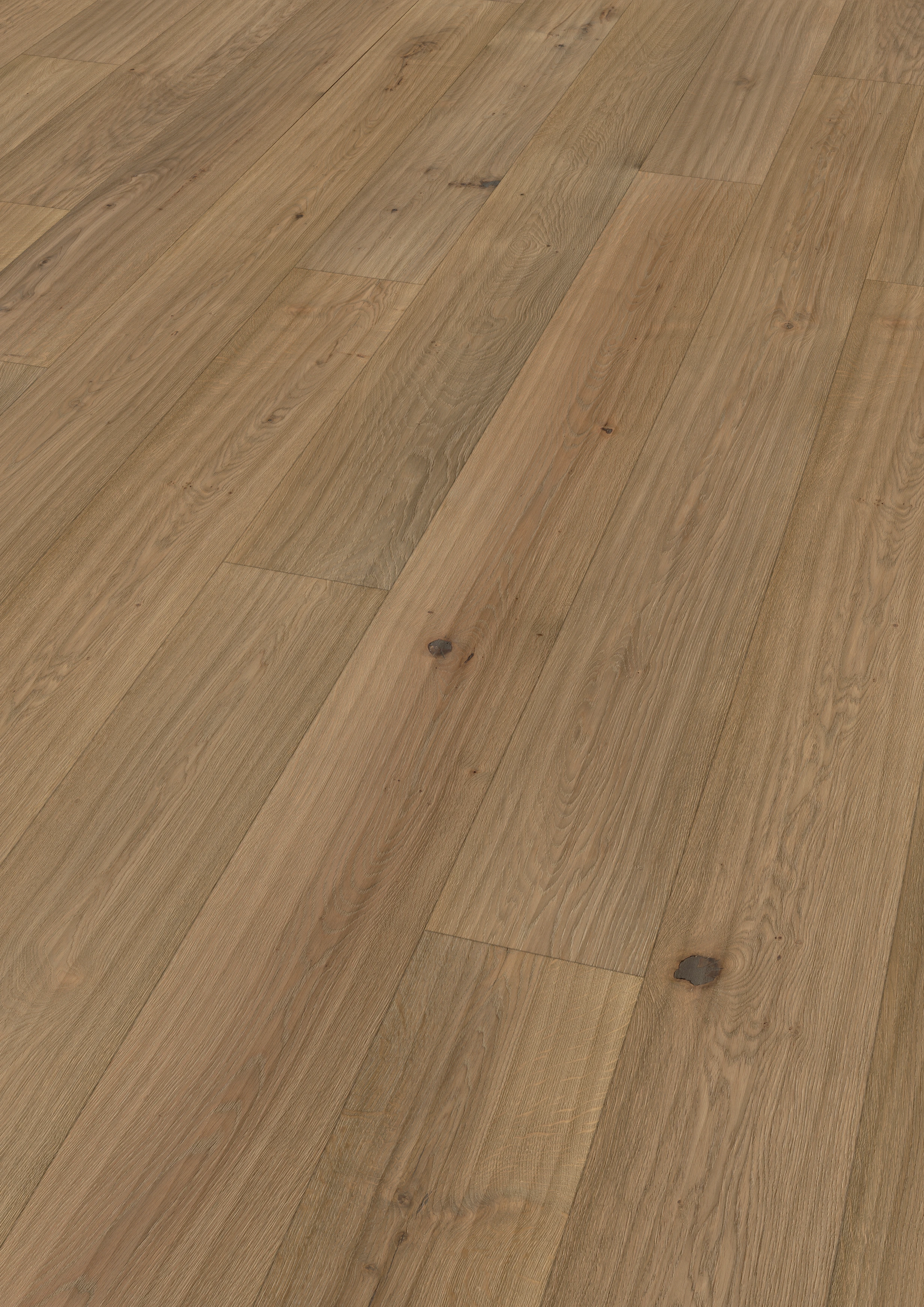 Oak unique grey beige