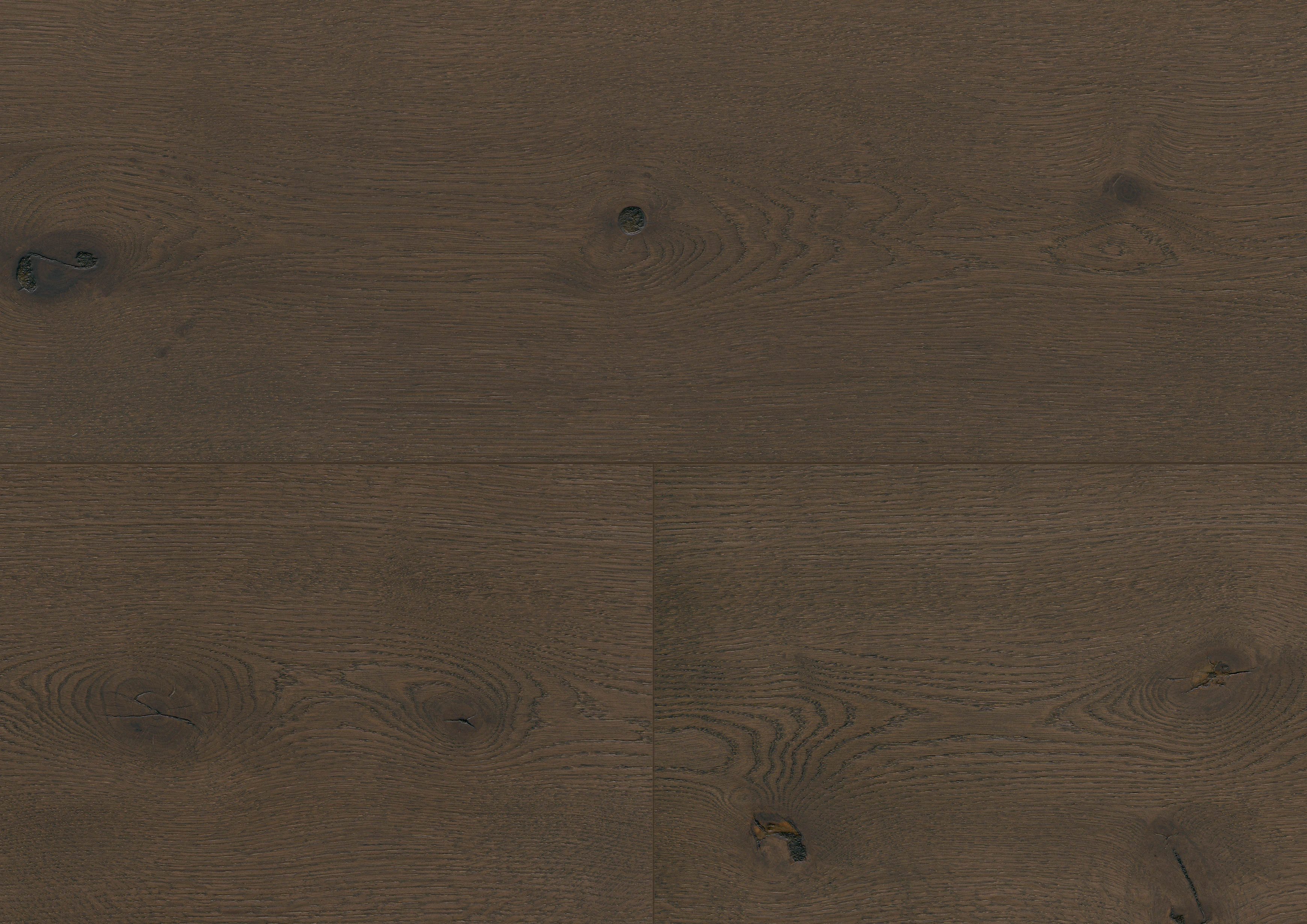 Oak Sumava