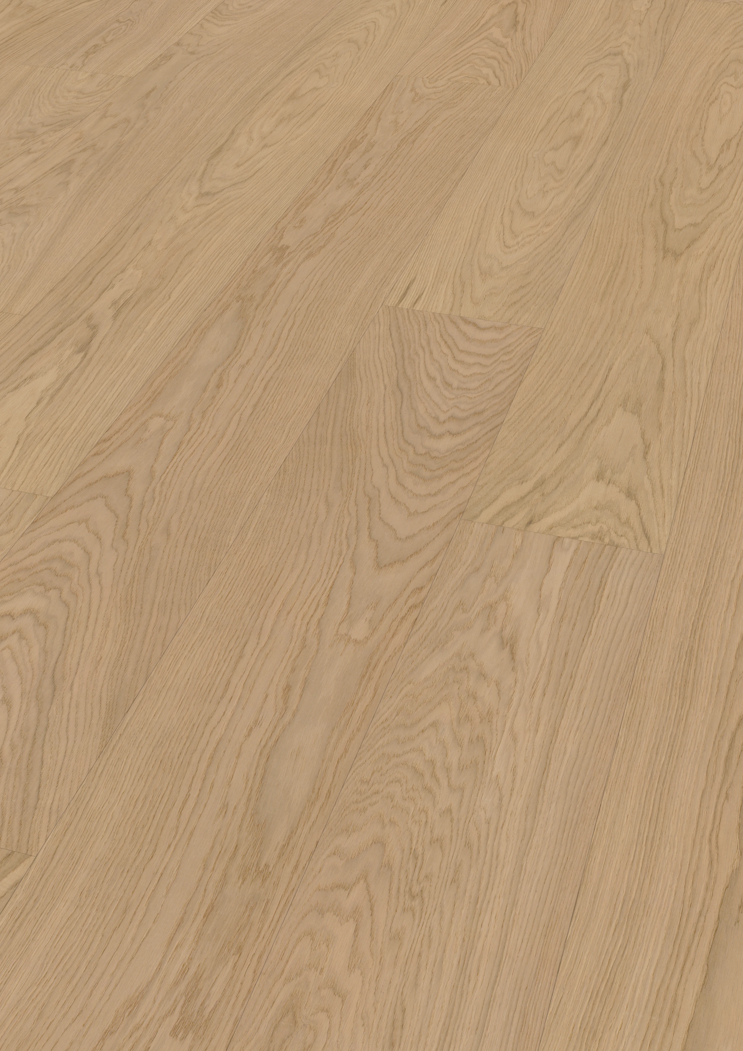 Oak Nordens Ark