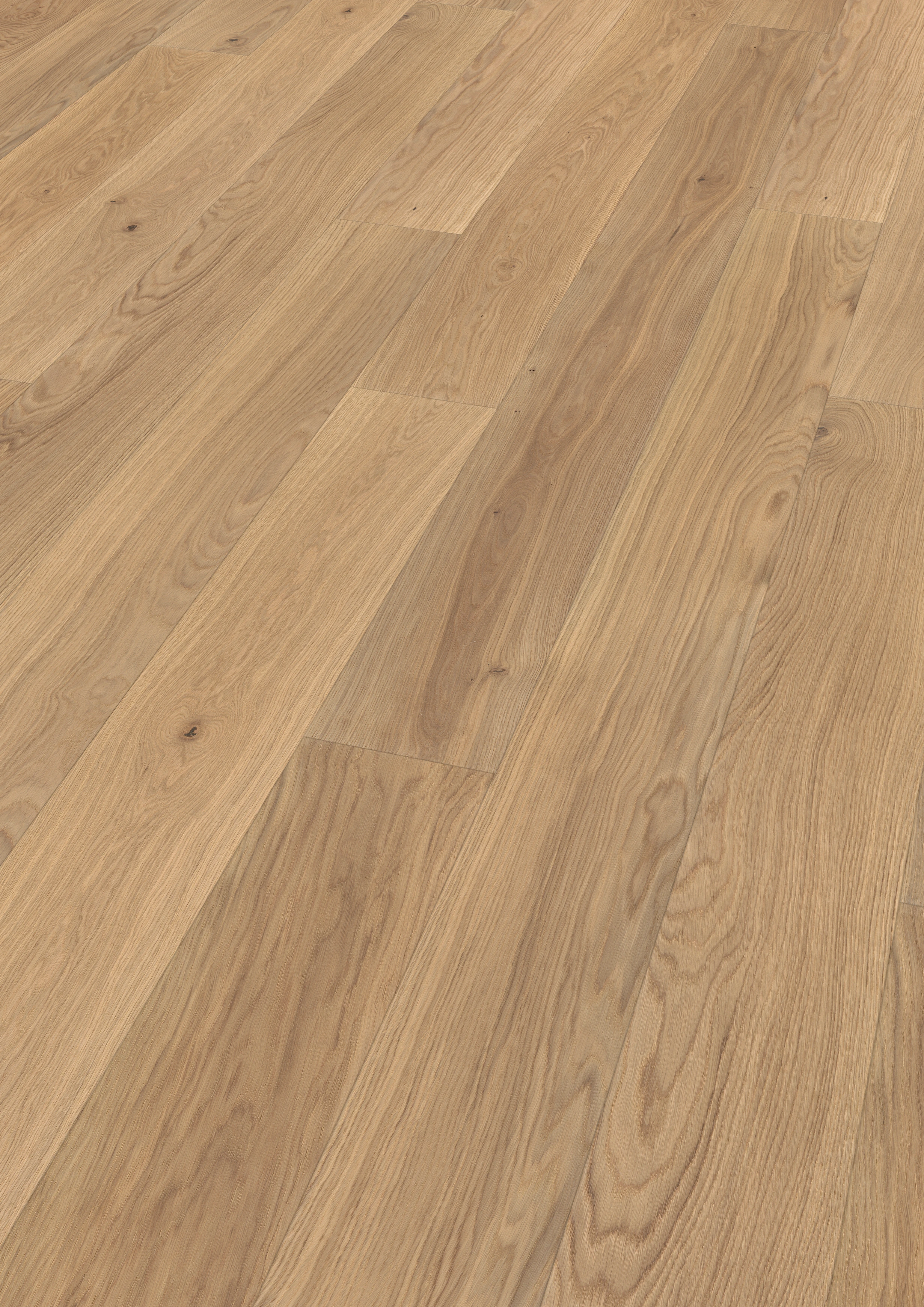 Oak light beige