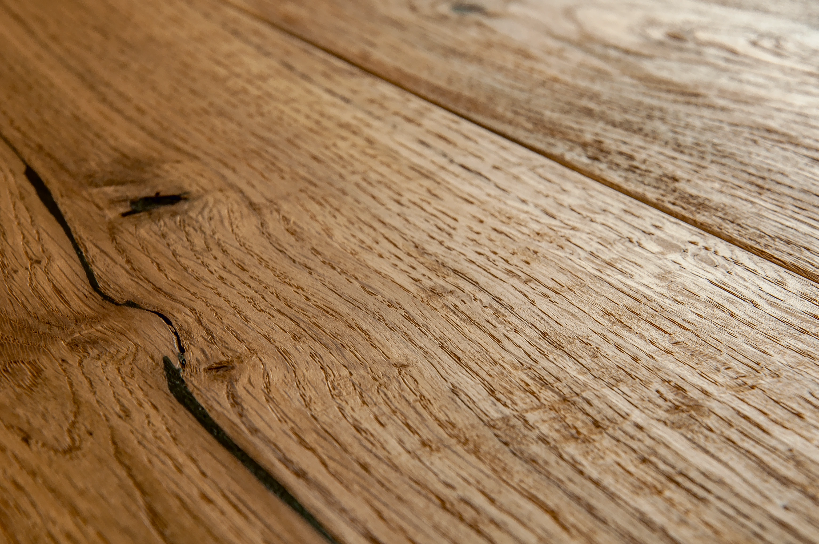 Oak No.13 - Mortimer