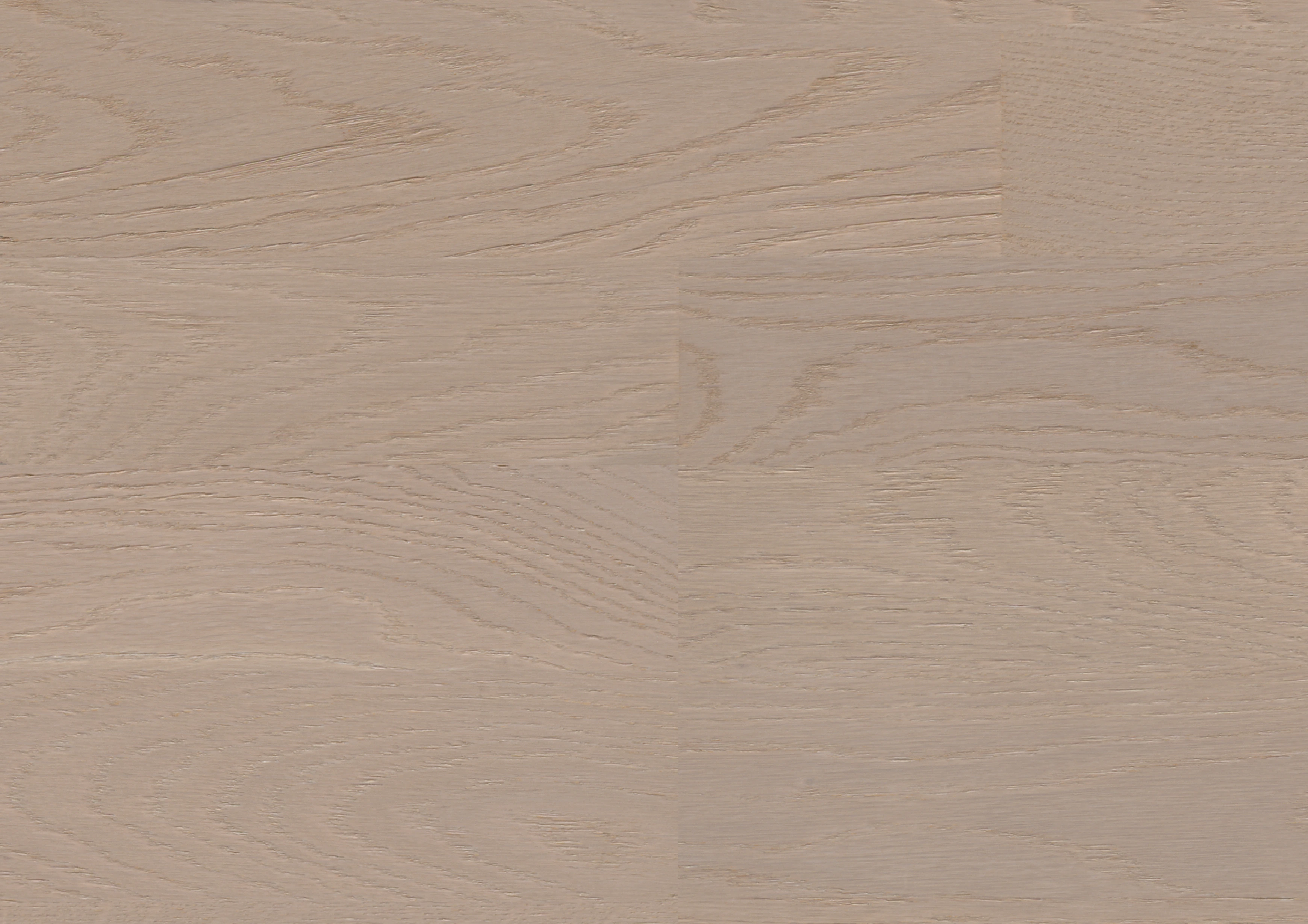 Oak Saar
