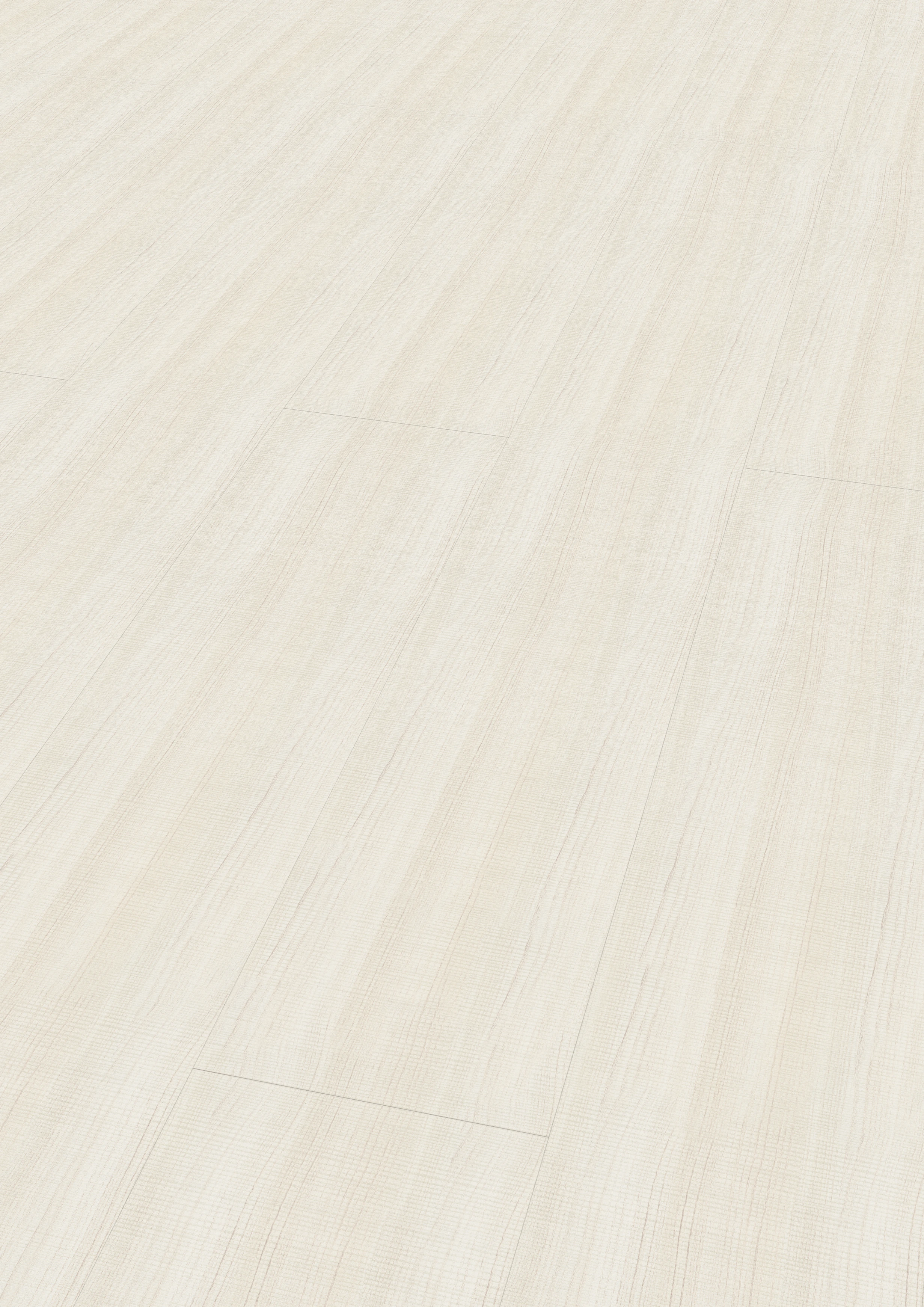 Pinie champagnerweiß