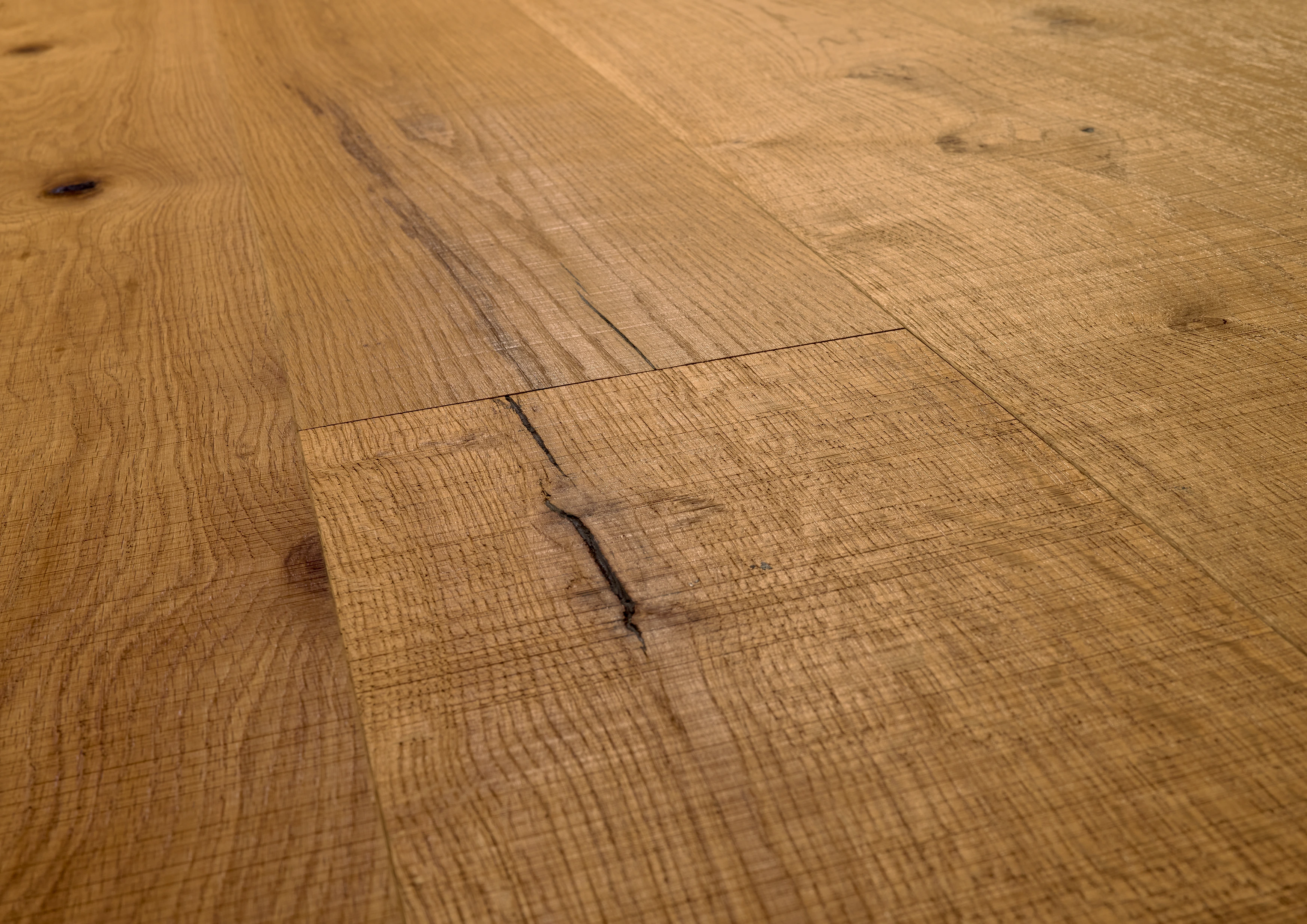 Oak No. 24 - Glasgow