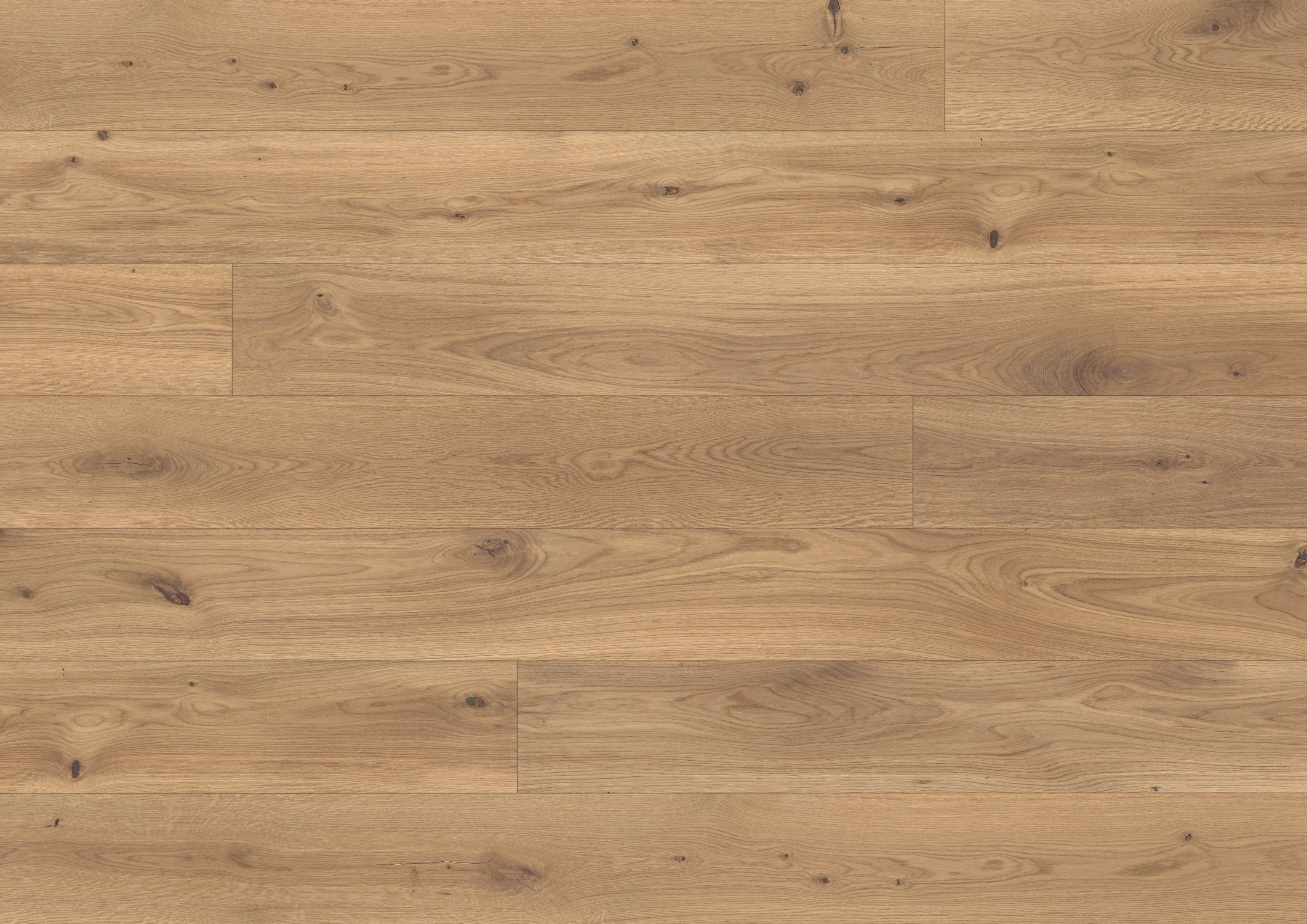 Oak light beige
