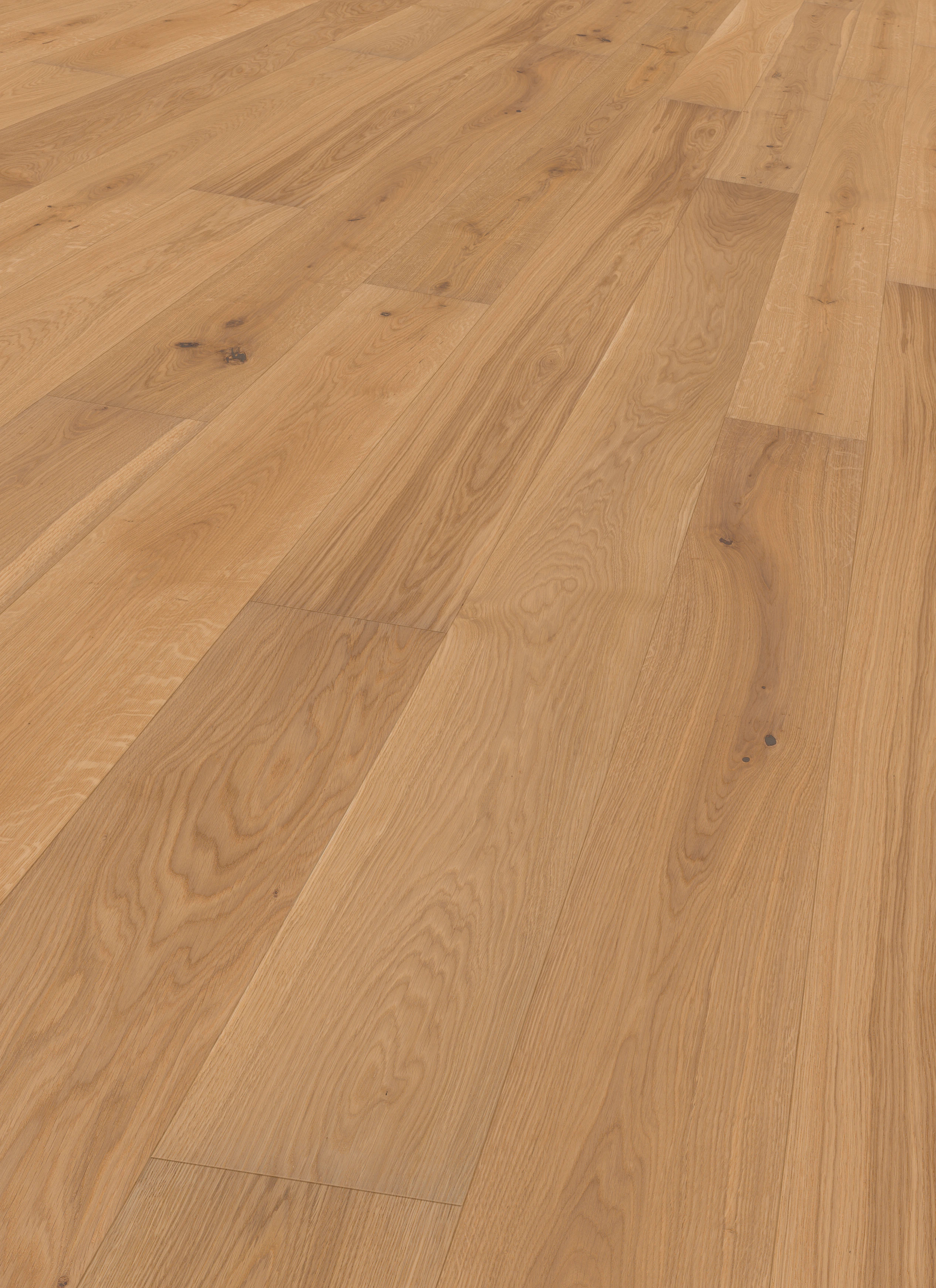 Oak soft beige