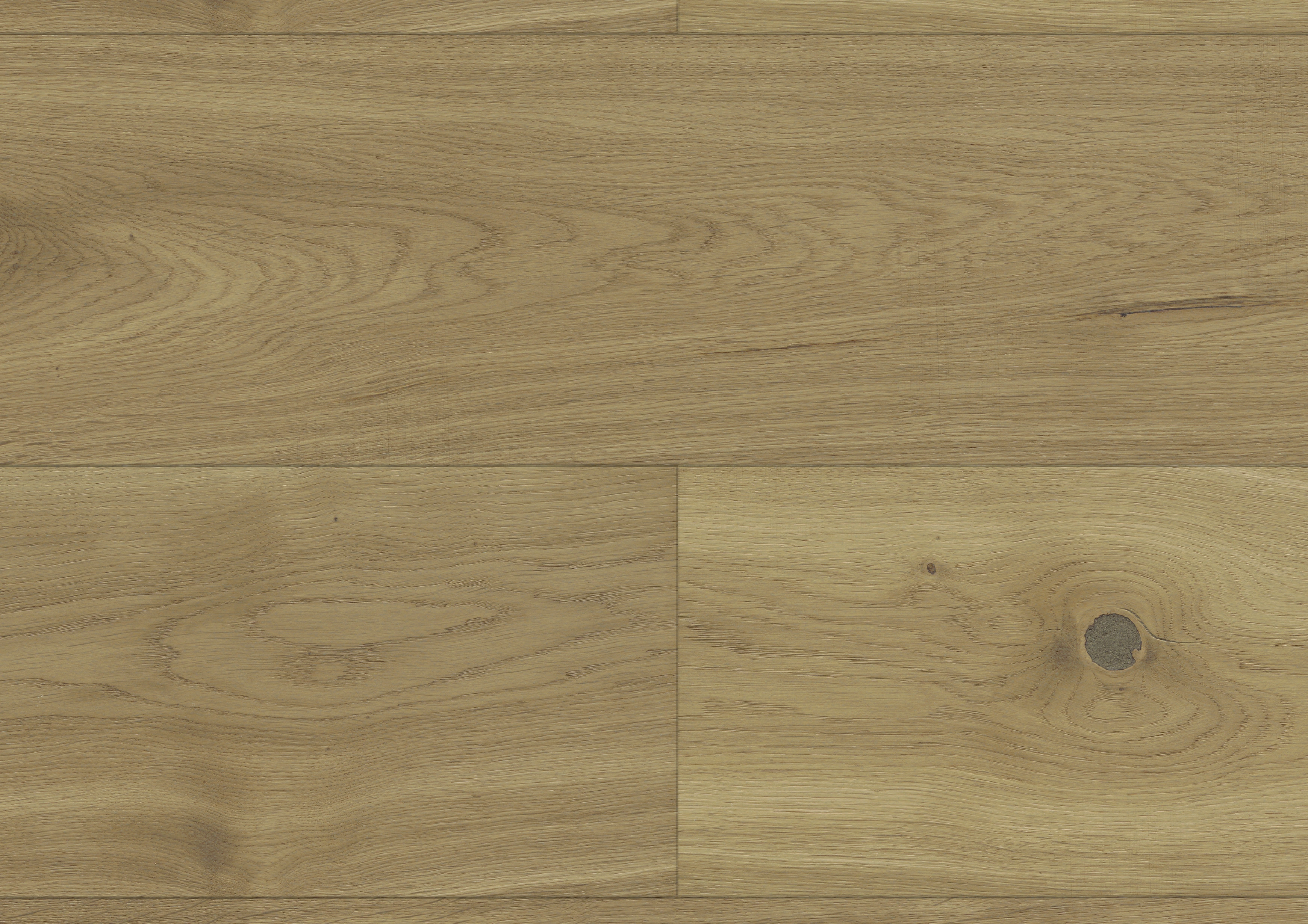 Oak Yosemite