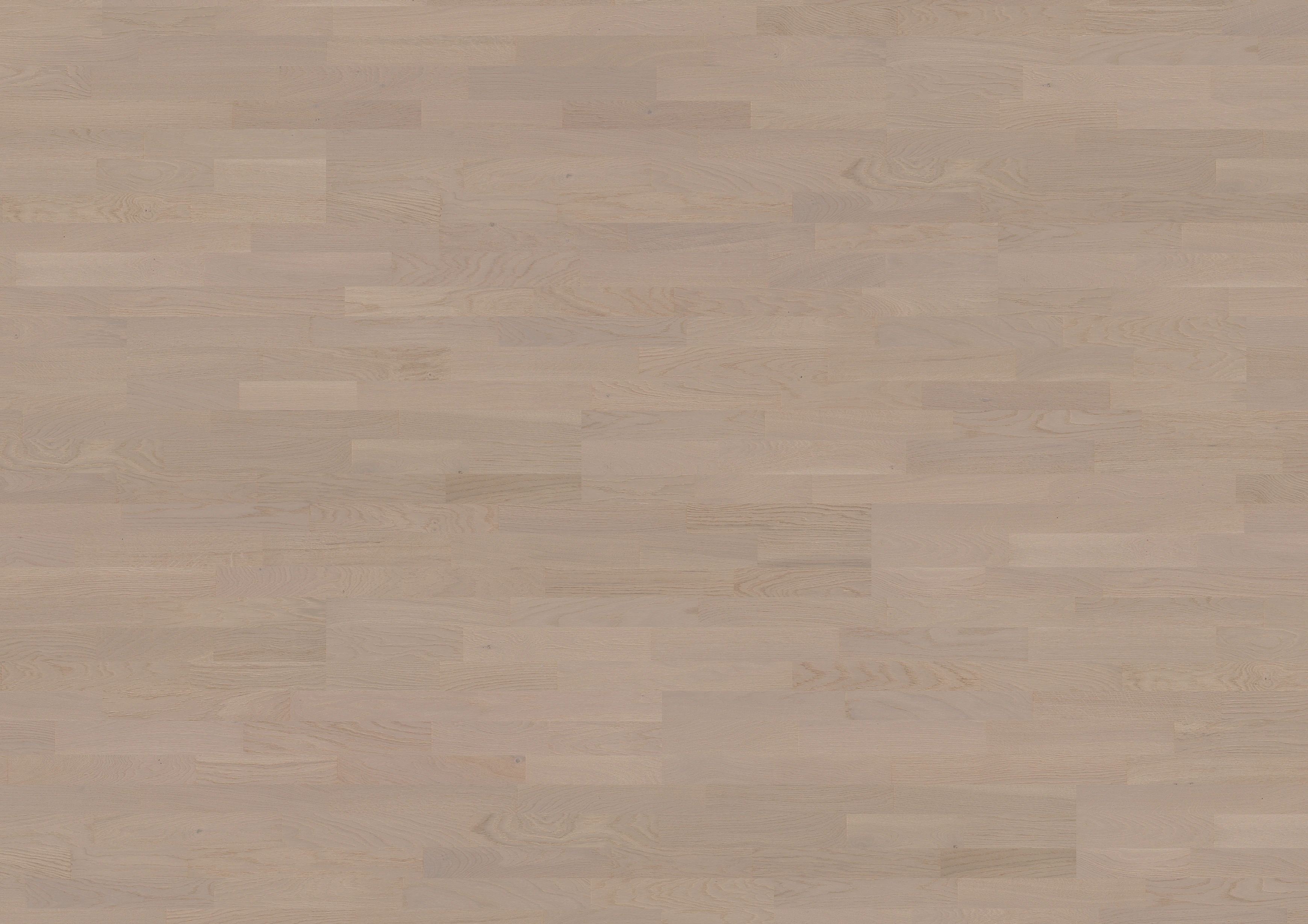 Oak Saar