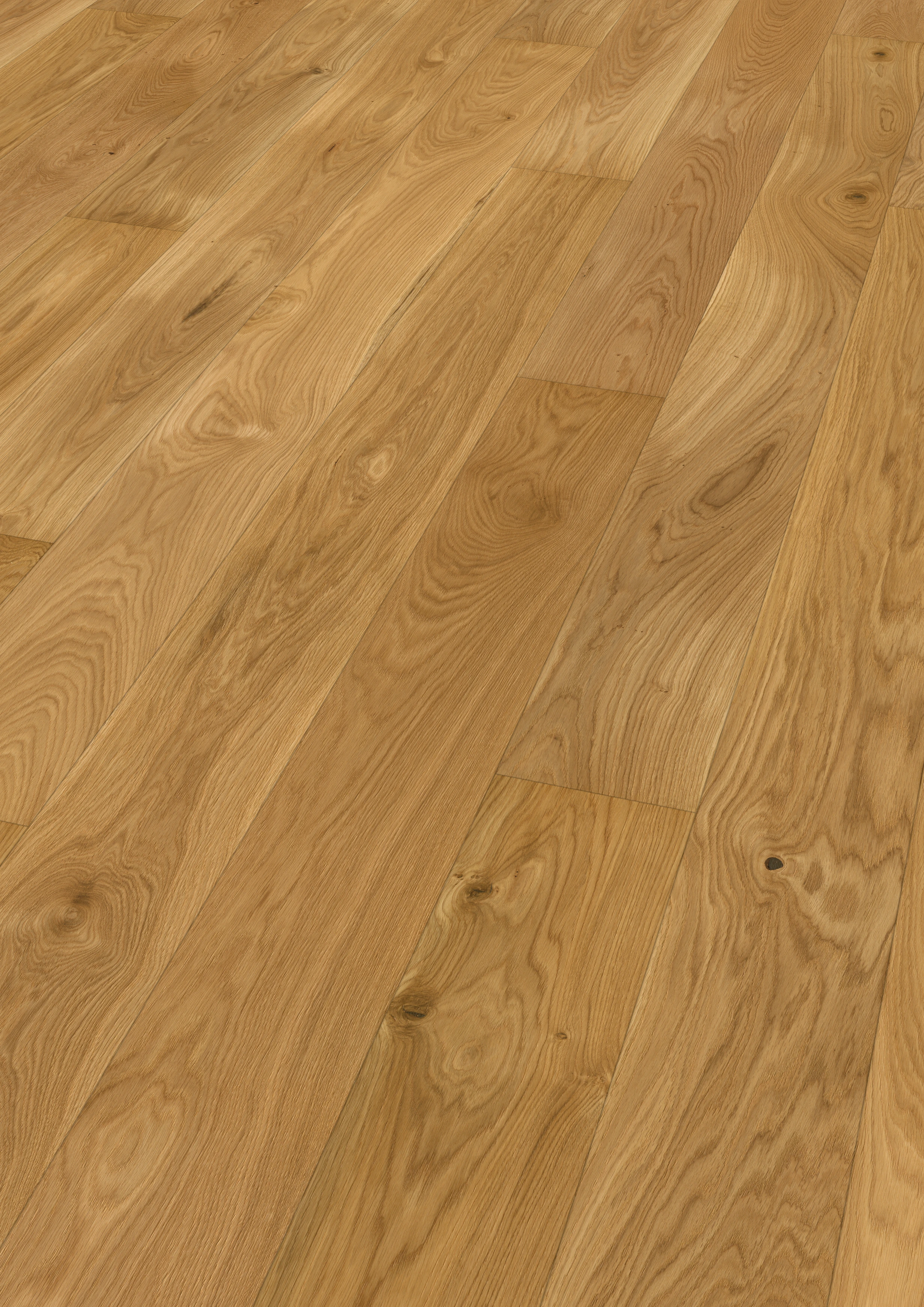 Oak