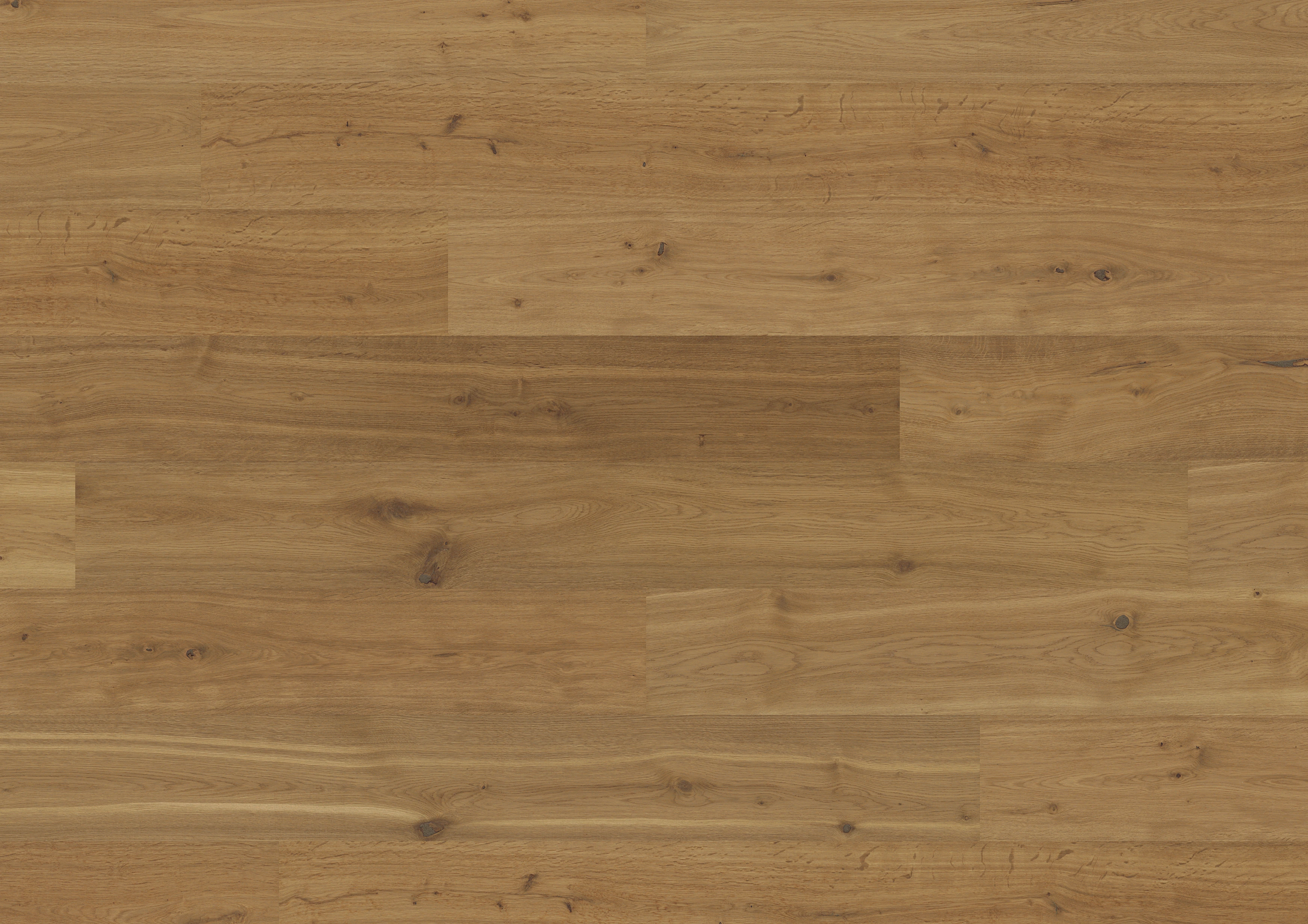 Oak Yosemite