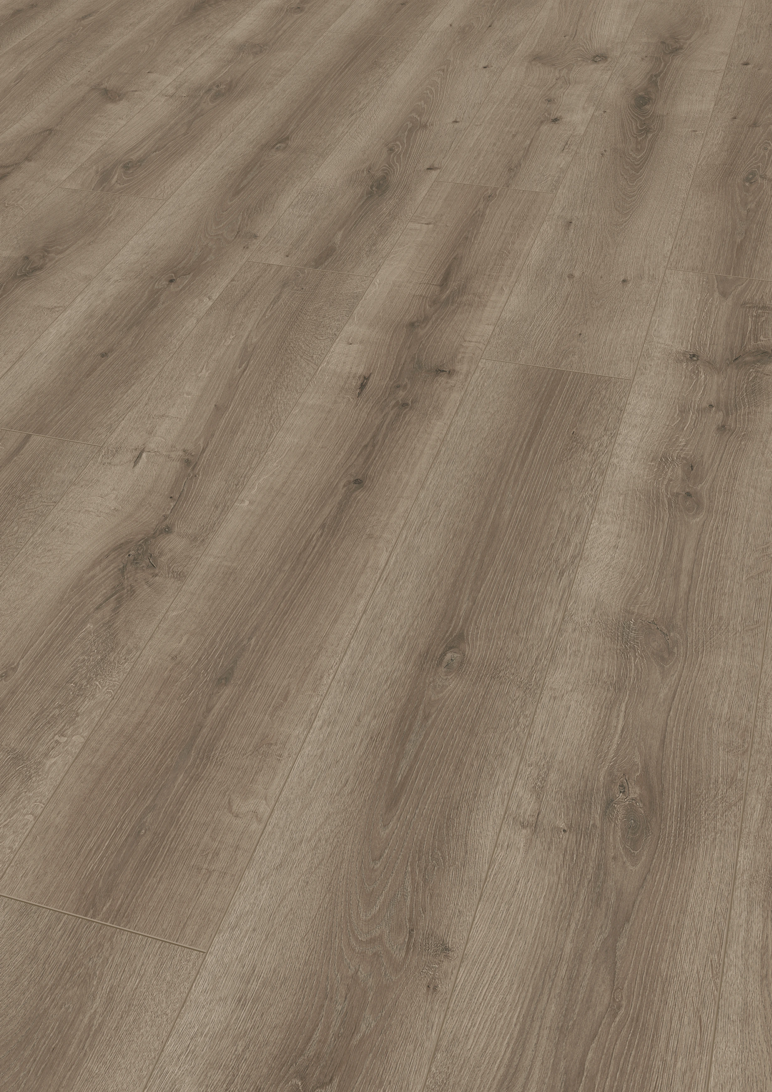 Chêne Scotch Saloon