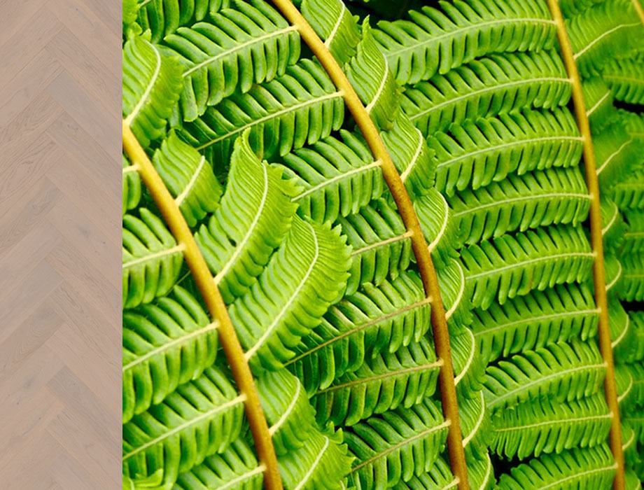 Herringbone Collection