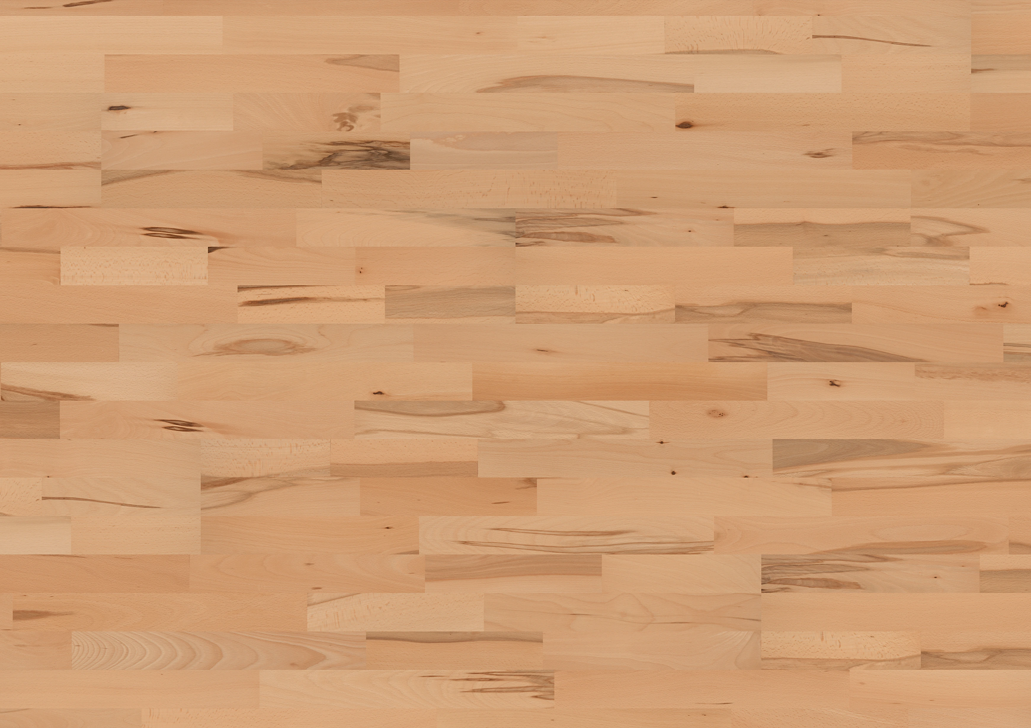Beech