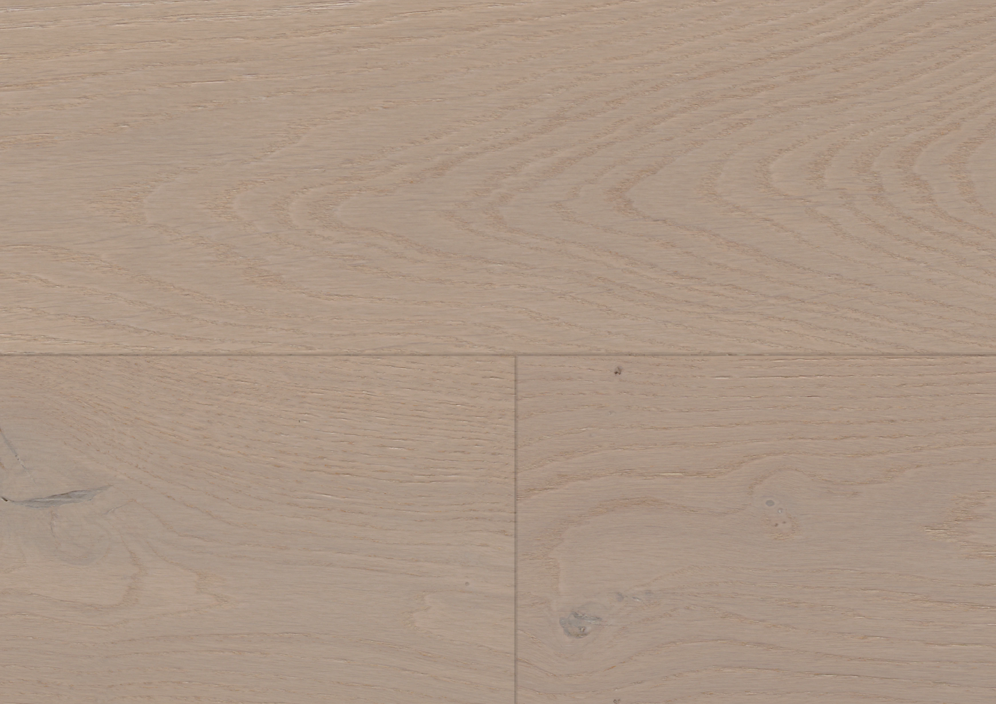 Oak Loire