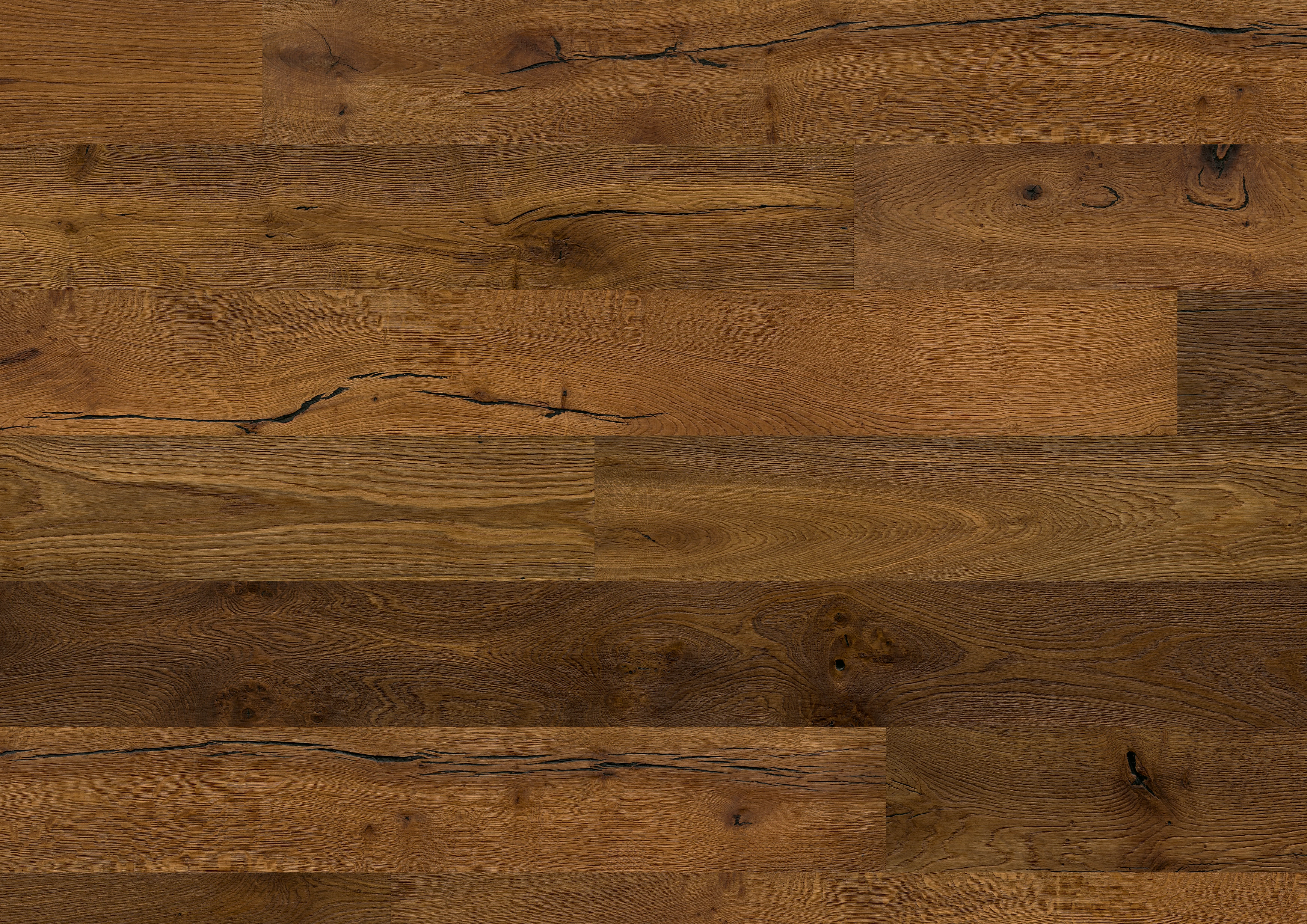 Oak No.109 - Sheffield