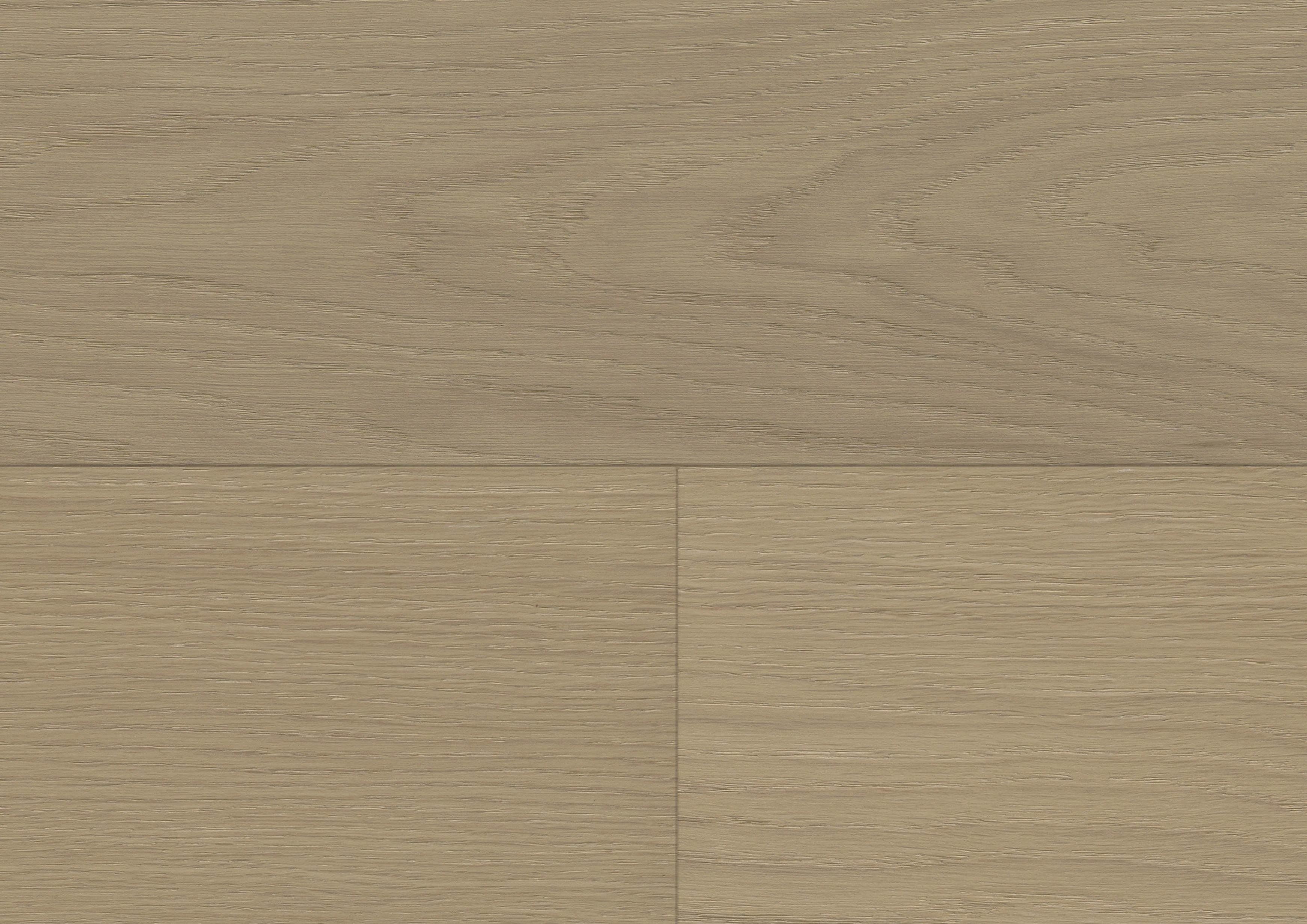 Dąb Thousand Islands