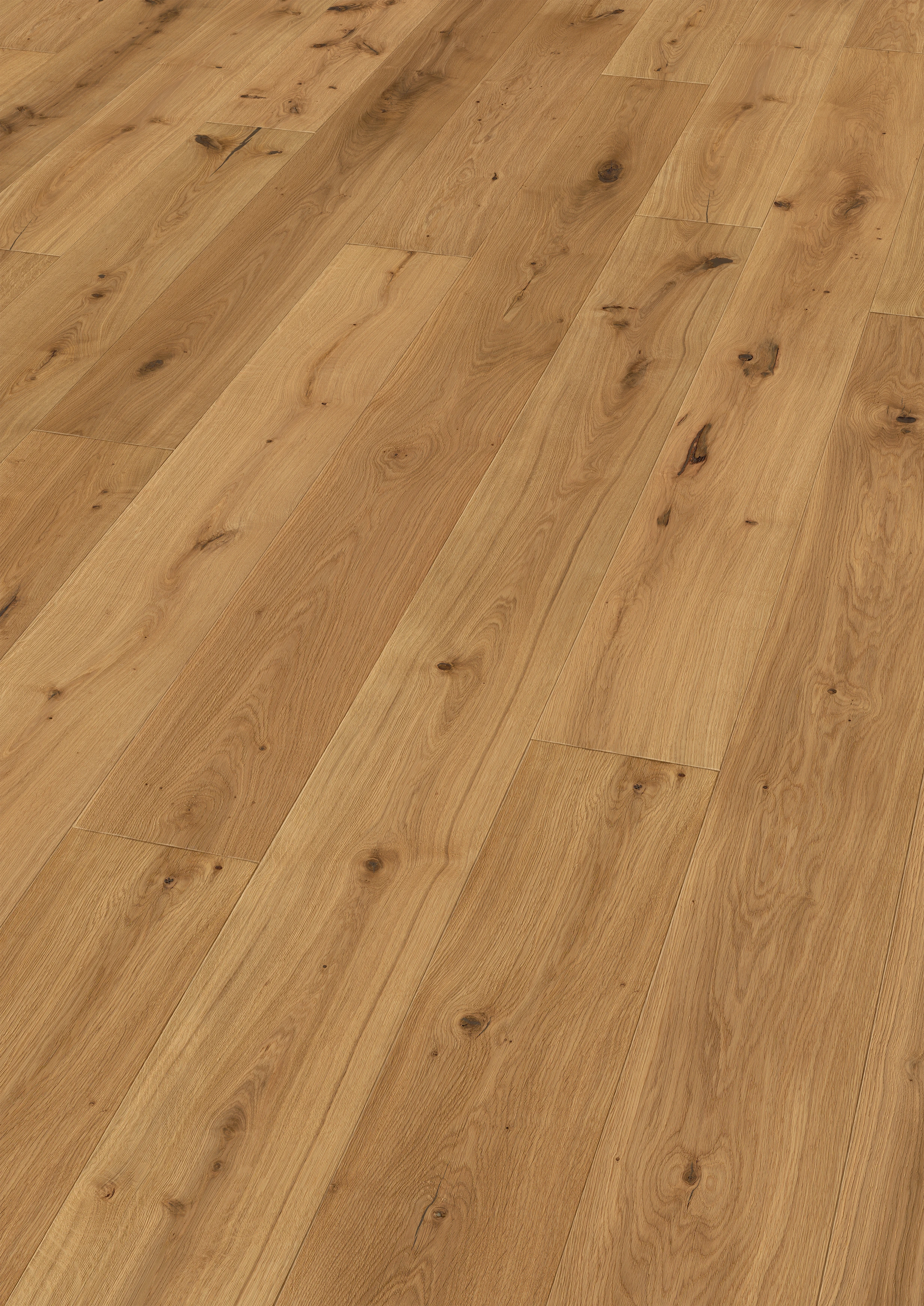 Oak Palatino