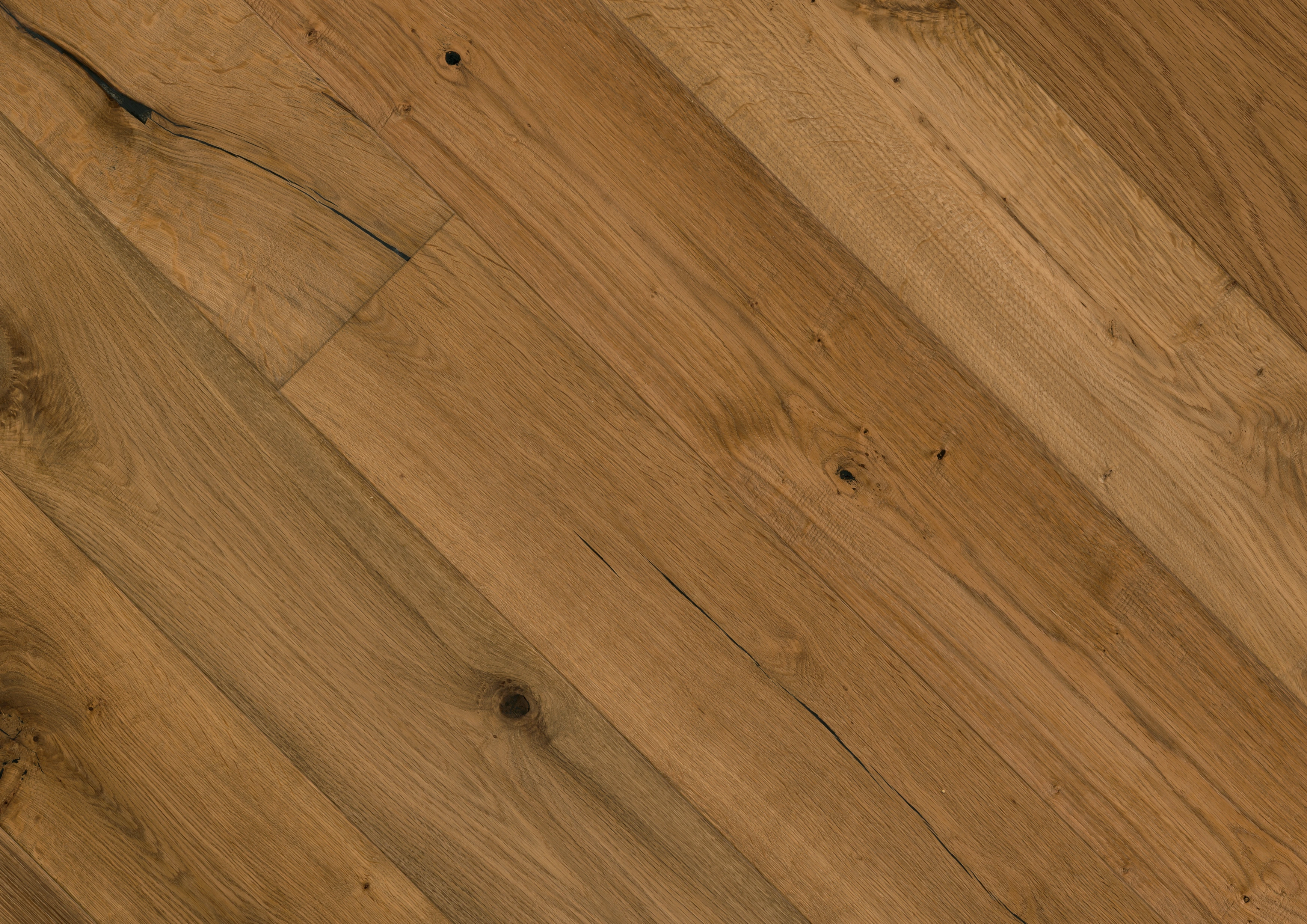 Oak No.13 - Mortimer | 1148011912