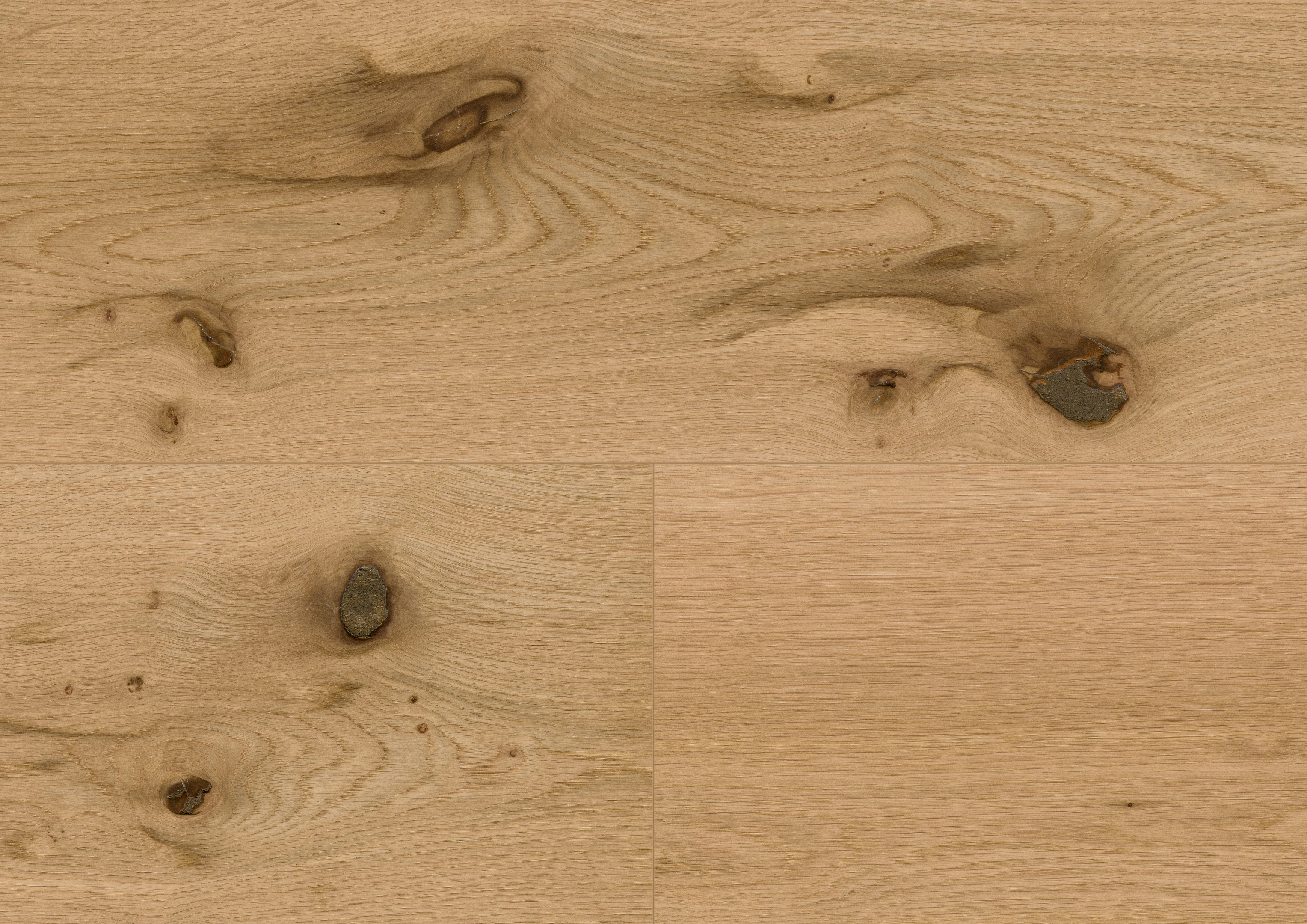 Oak Caledonian Forest