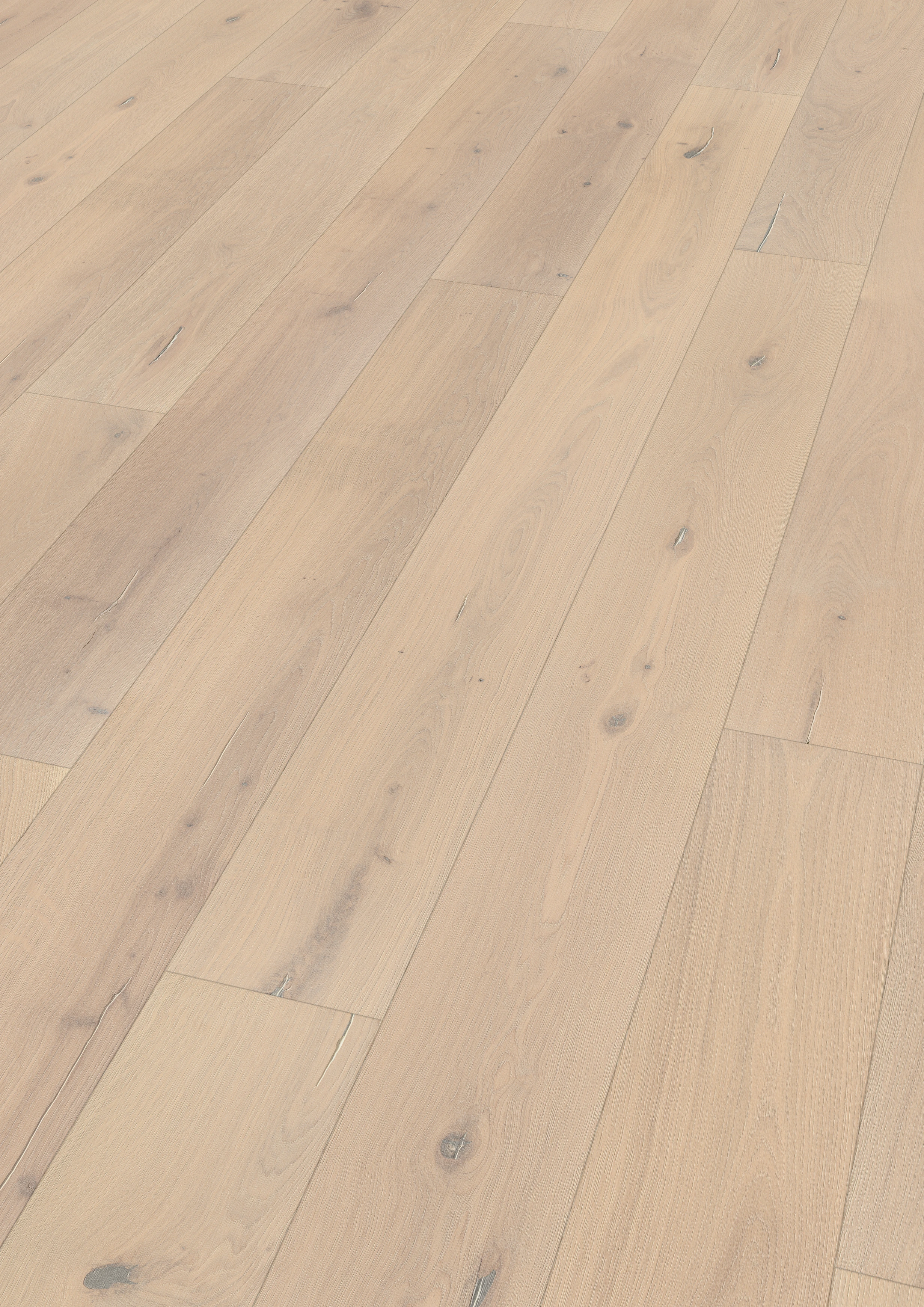 Dąb unikalny piaskowy beż