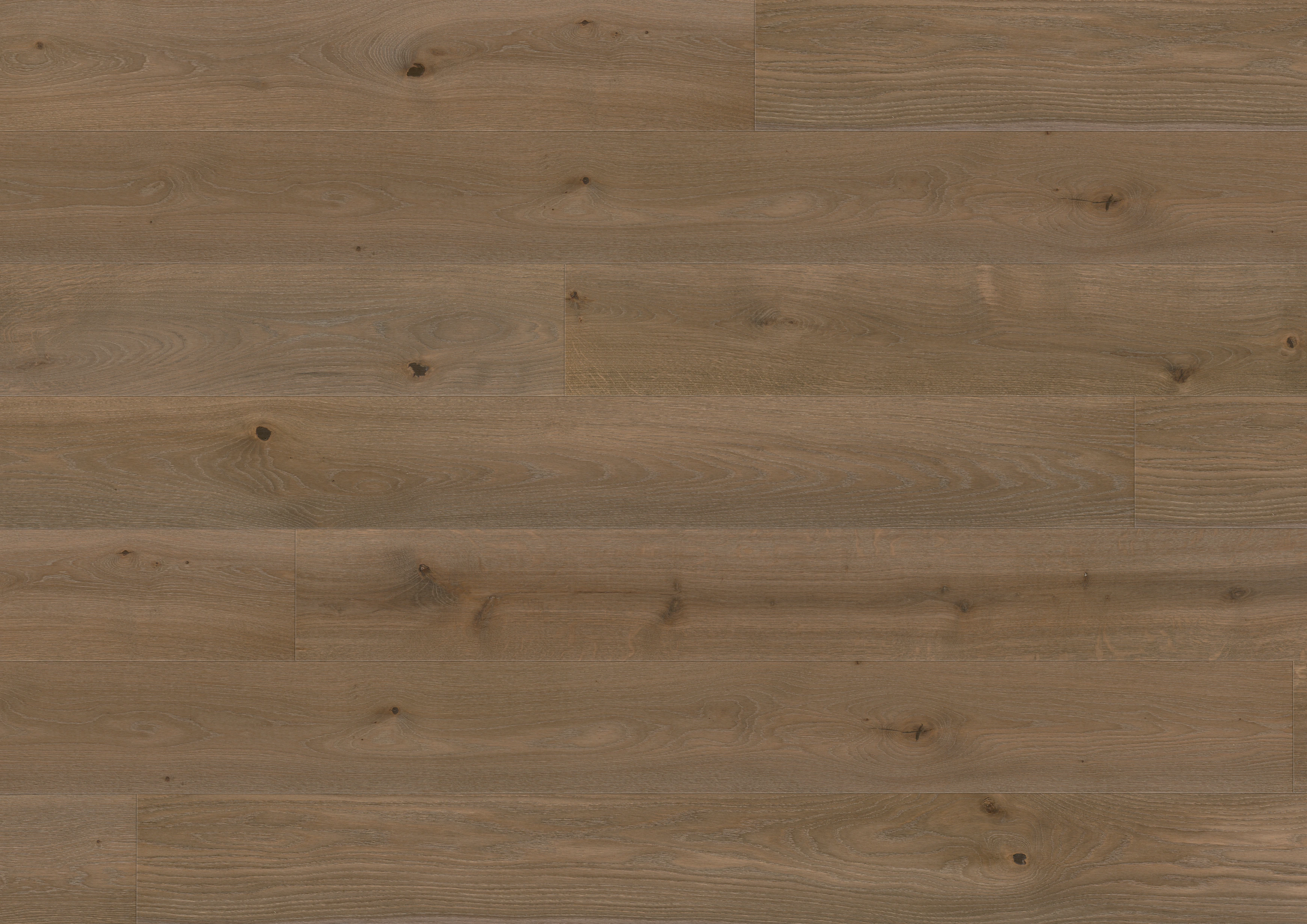 Oak terra brown
