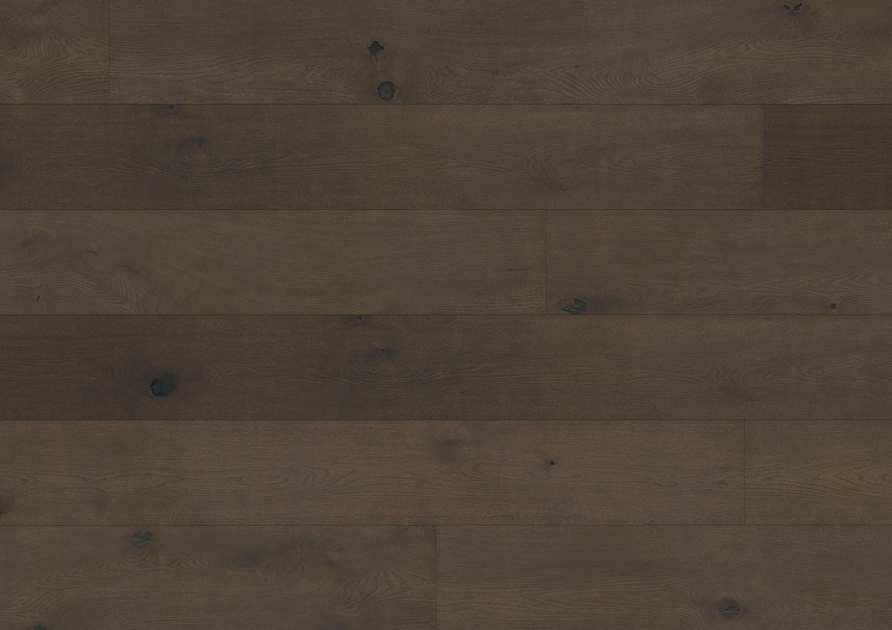 Oak Sumava