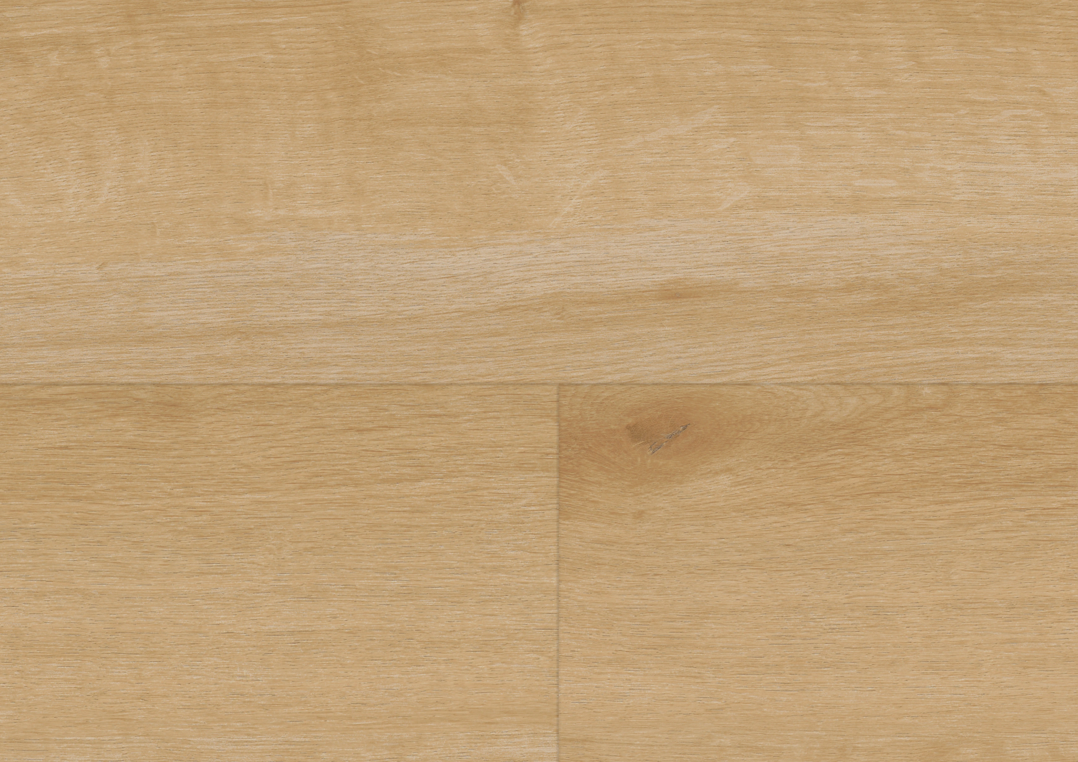 Oak Paul
