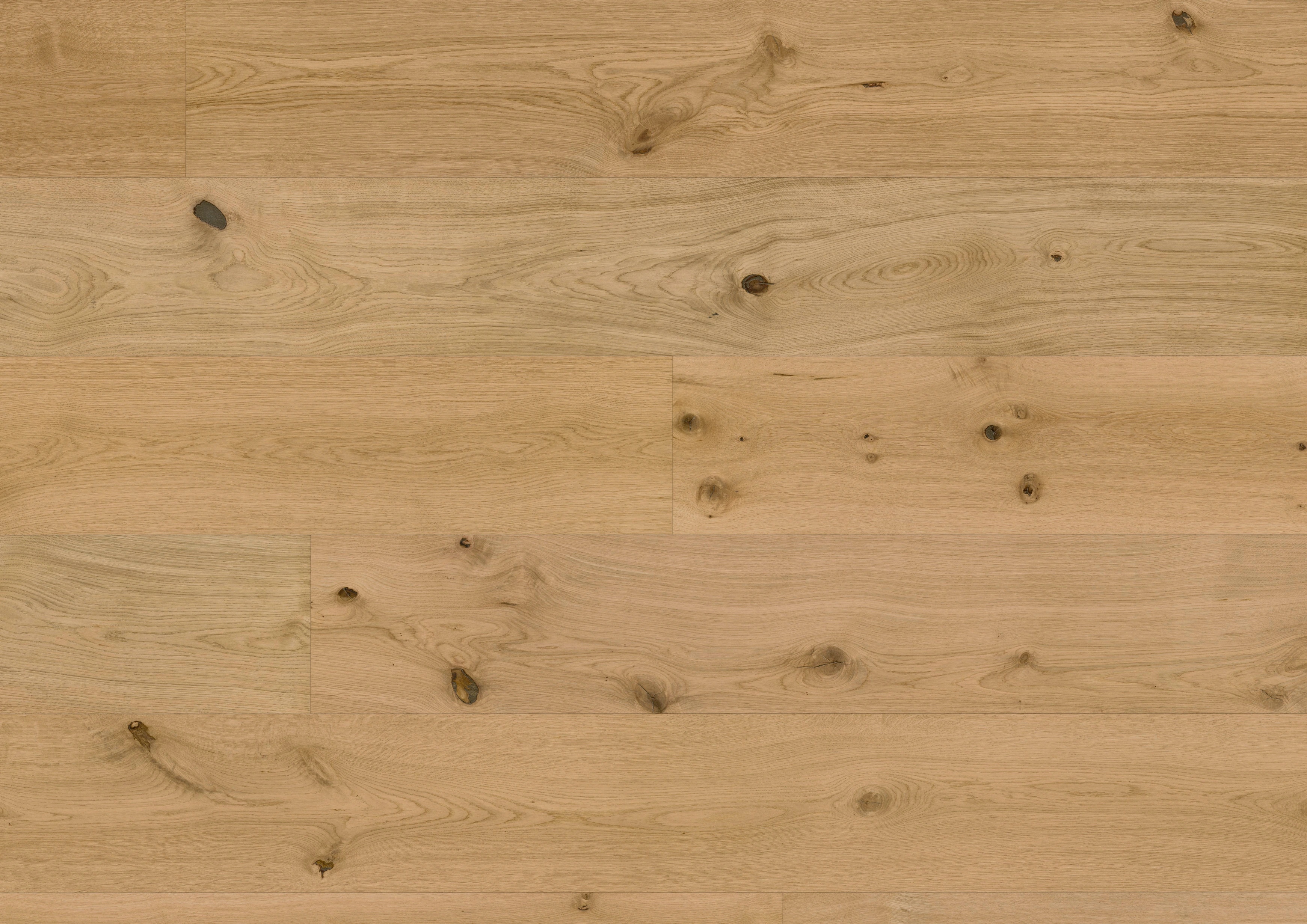 Oak Caledonian Forest