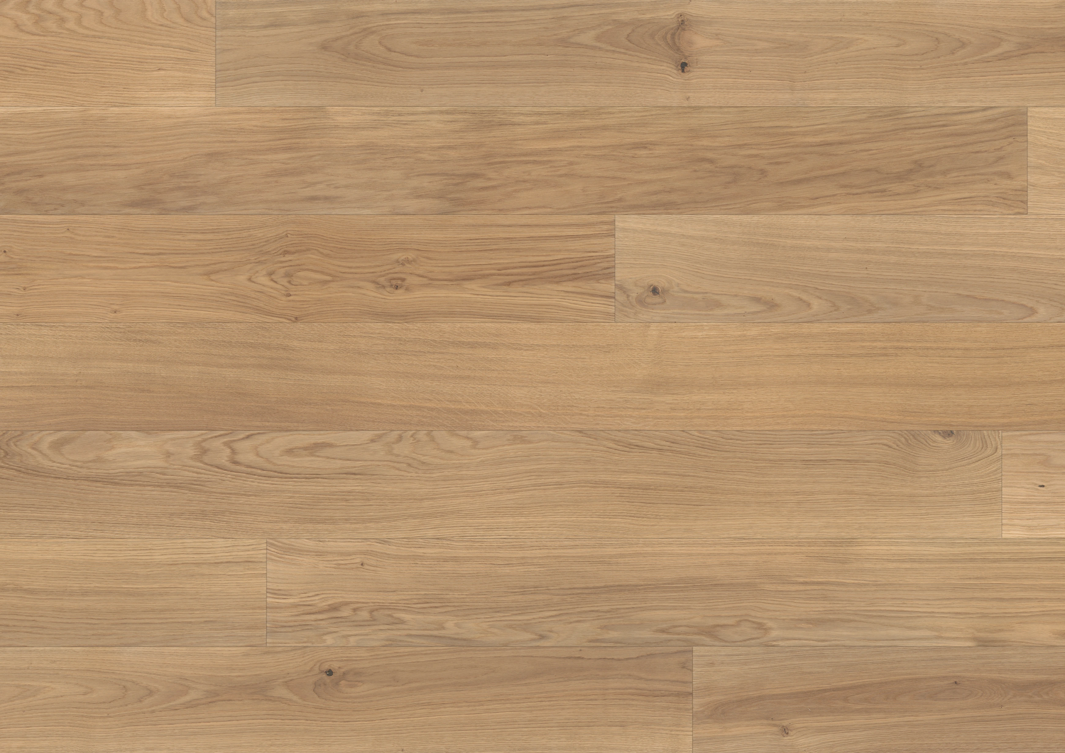 Oak light beige