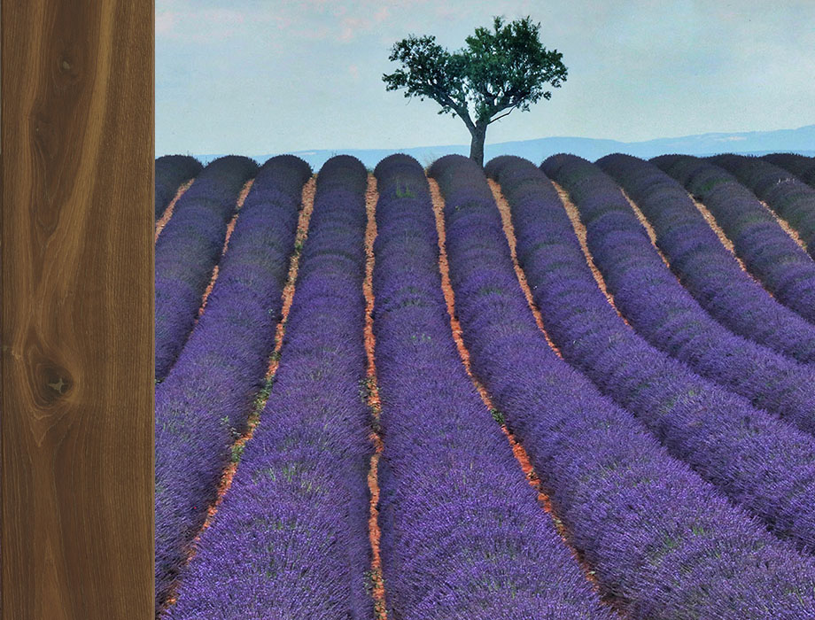 Moods Of Provence Collection