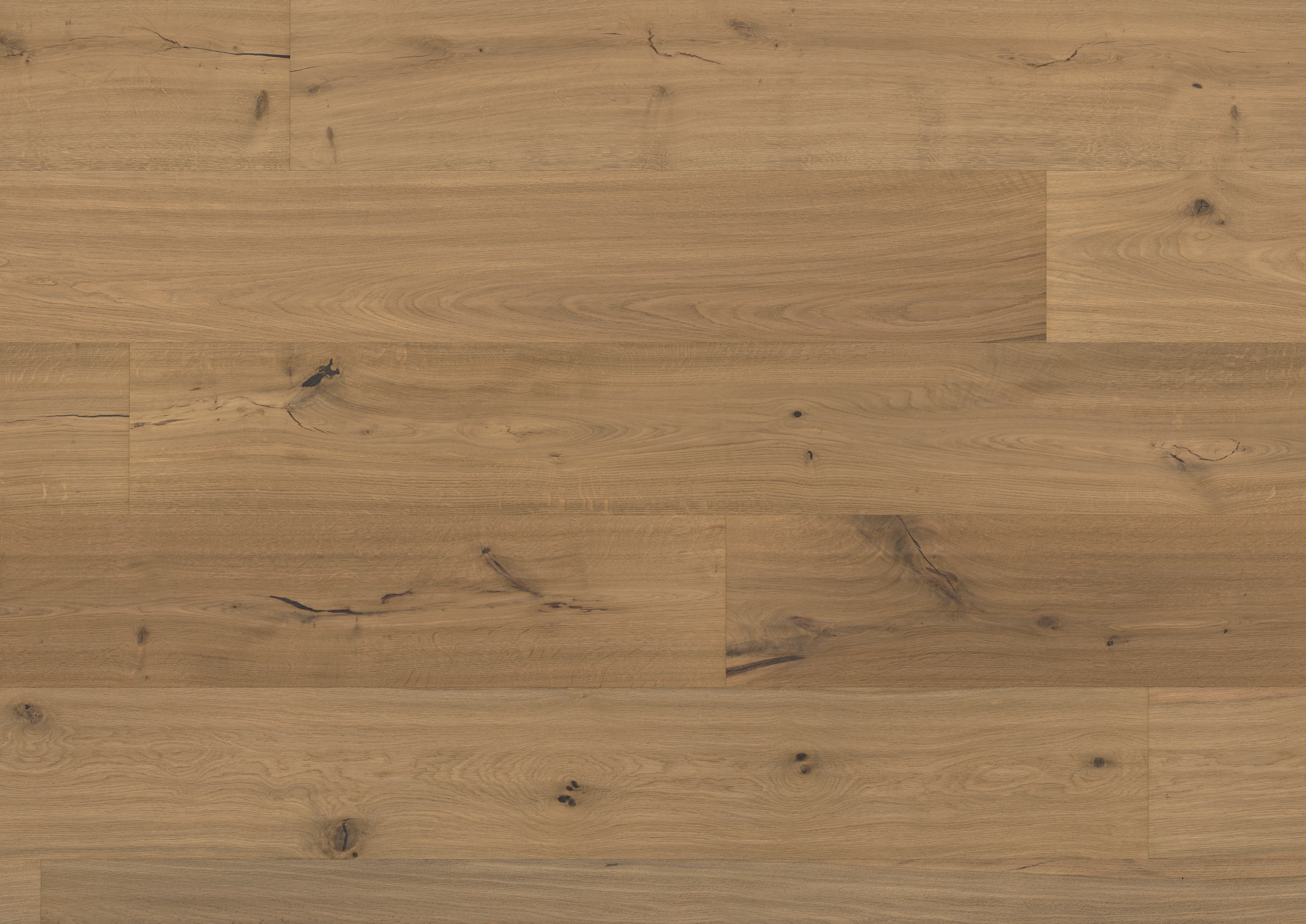 Oak No.21 - Warwick