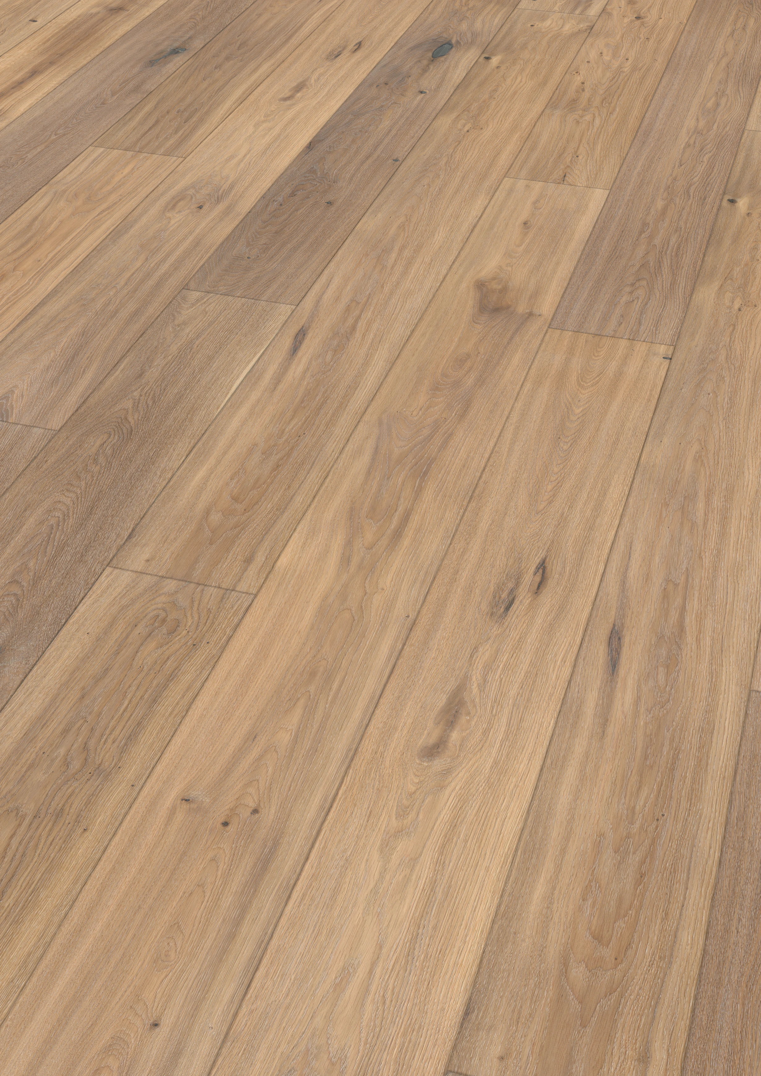 Oak alpine light beige