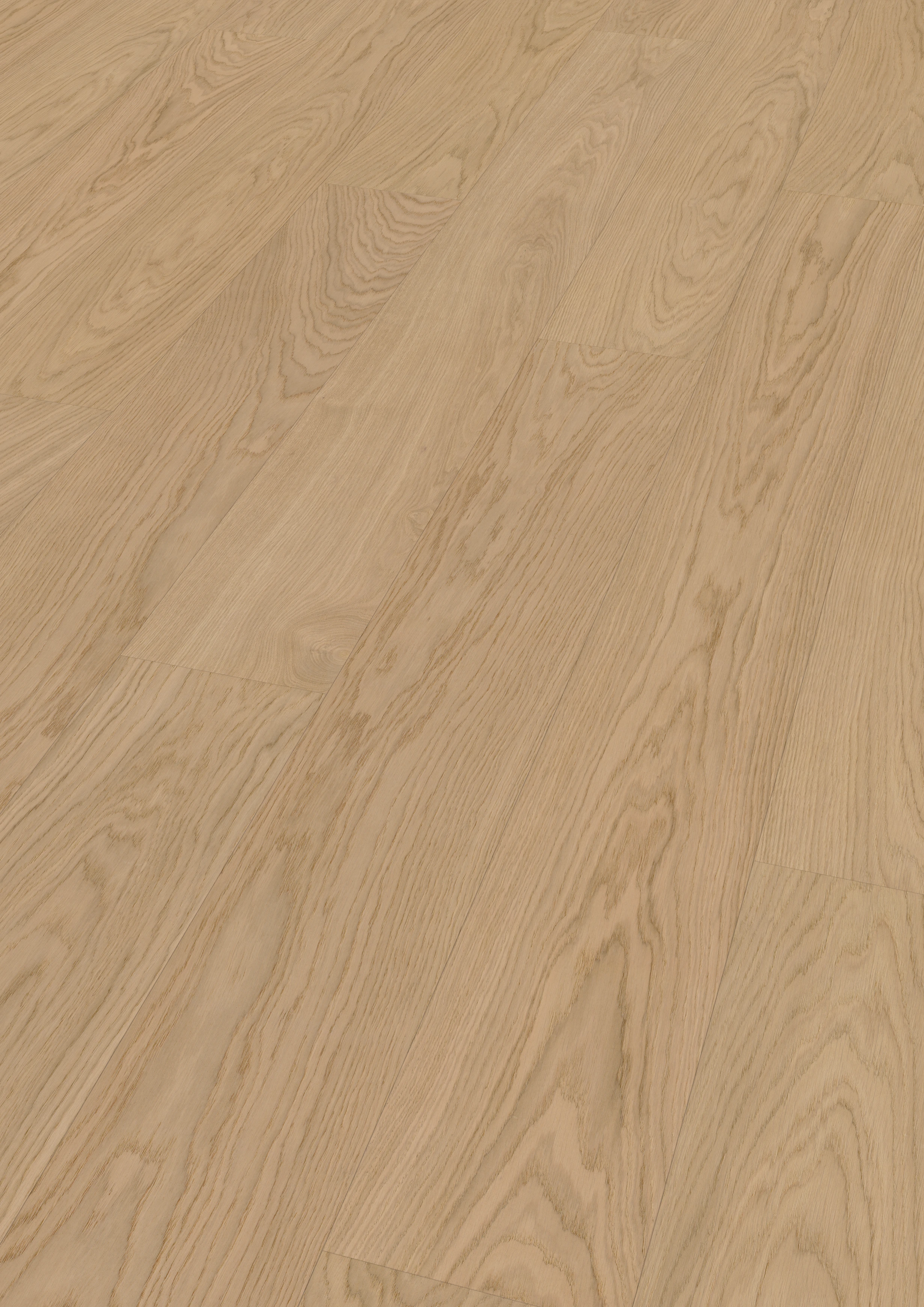 Oak Nordens Ark