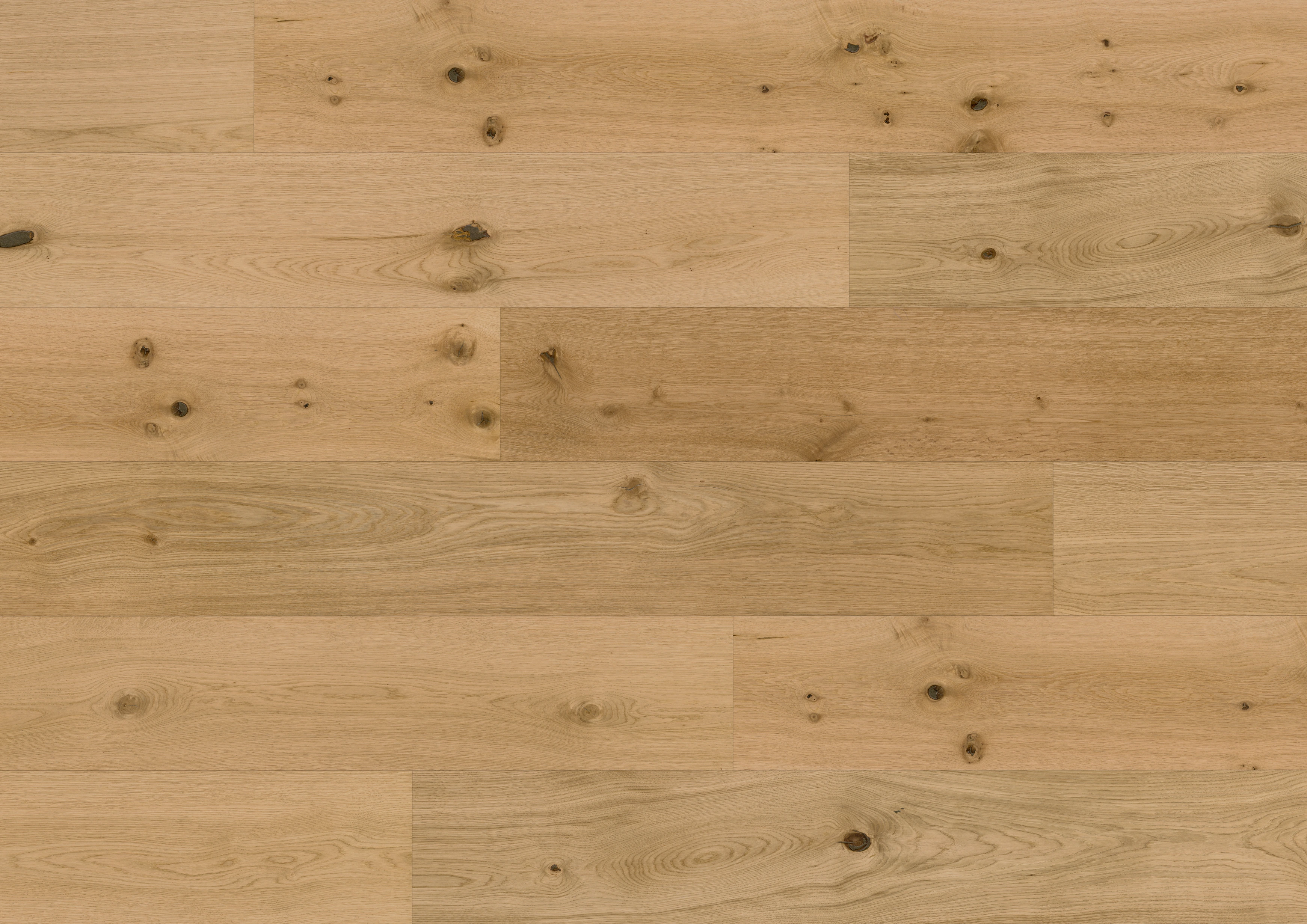 Oak Caledonian Forest