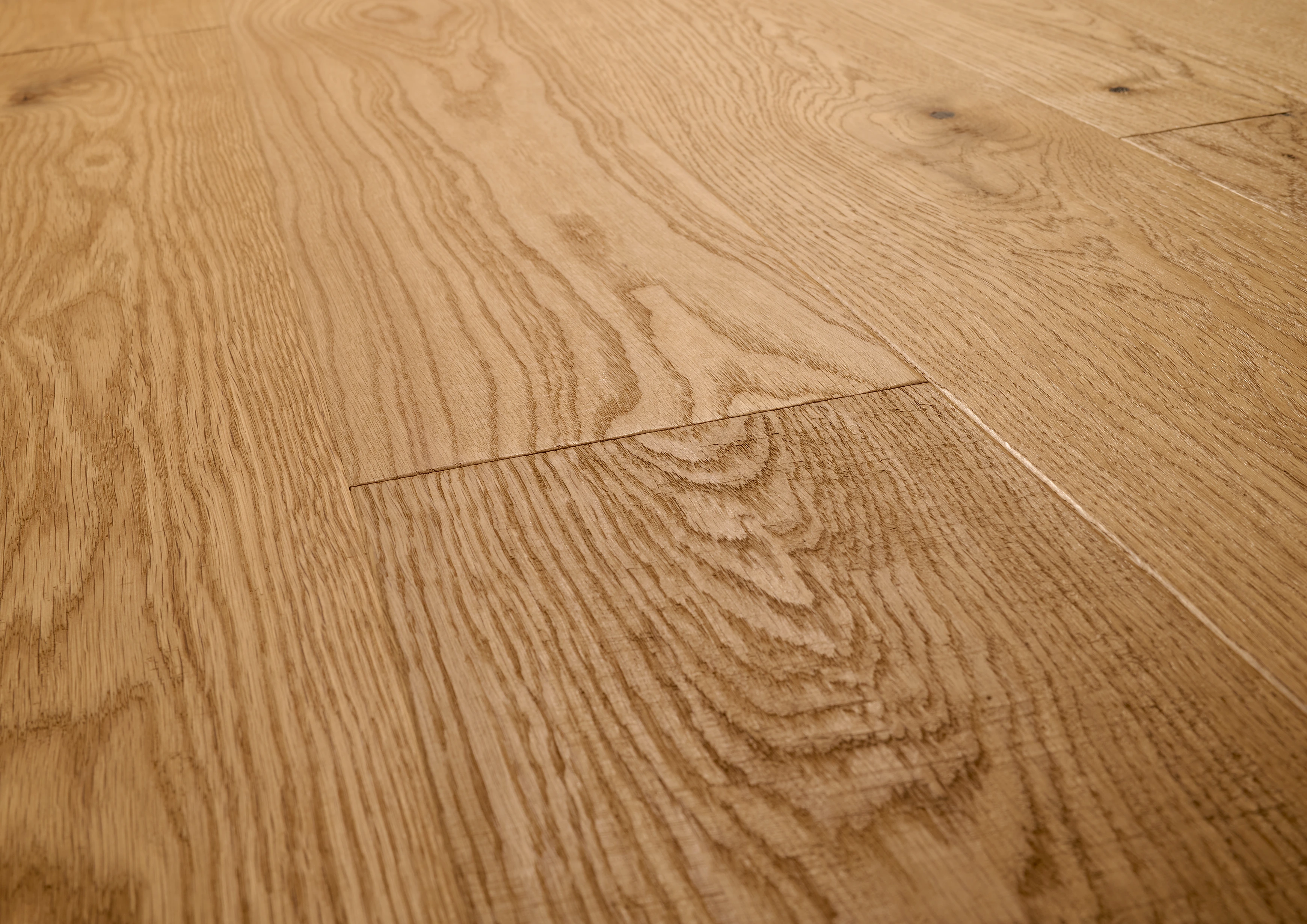 Oak No.11 - Salisbury