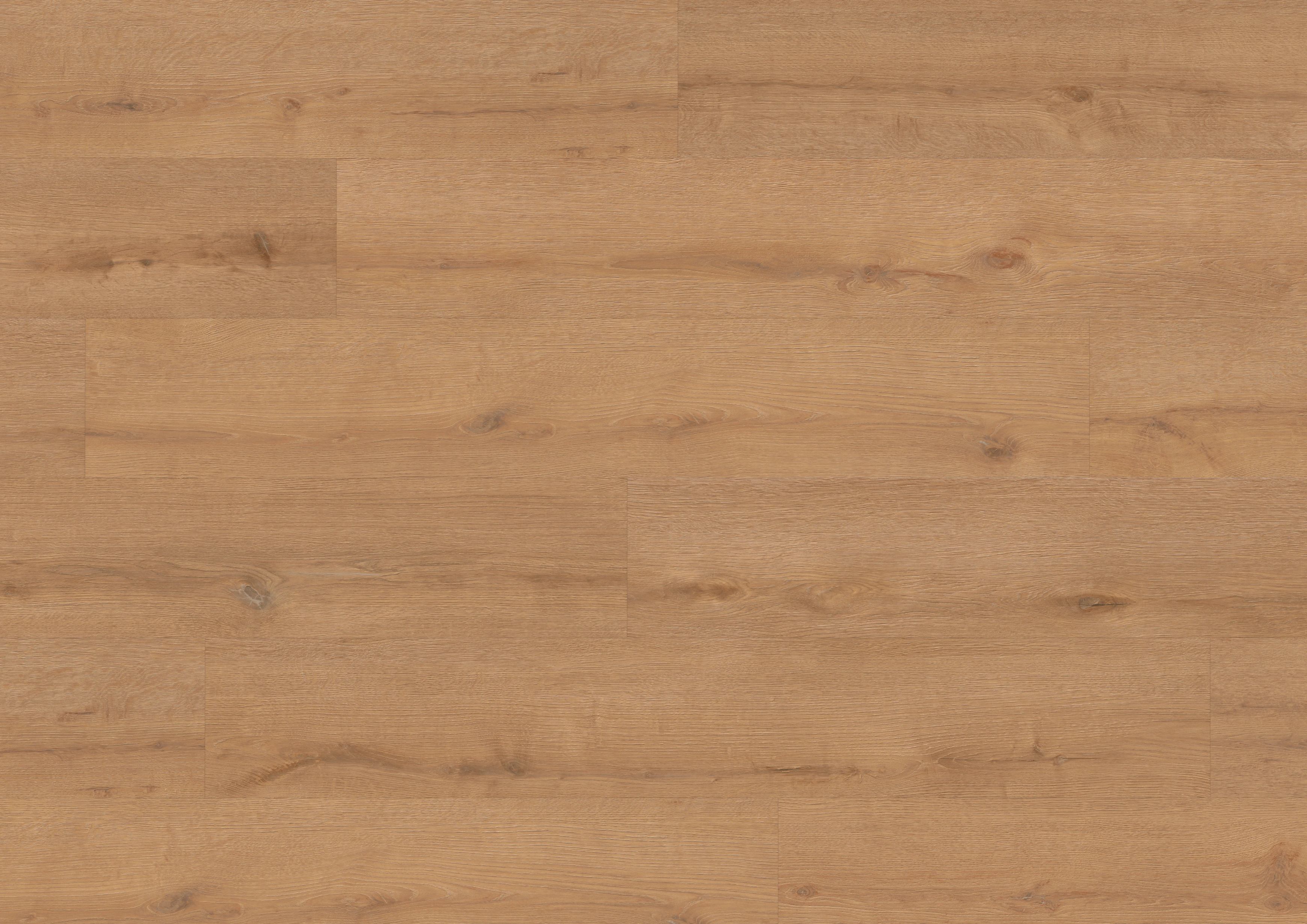 Oak Hamburg