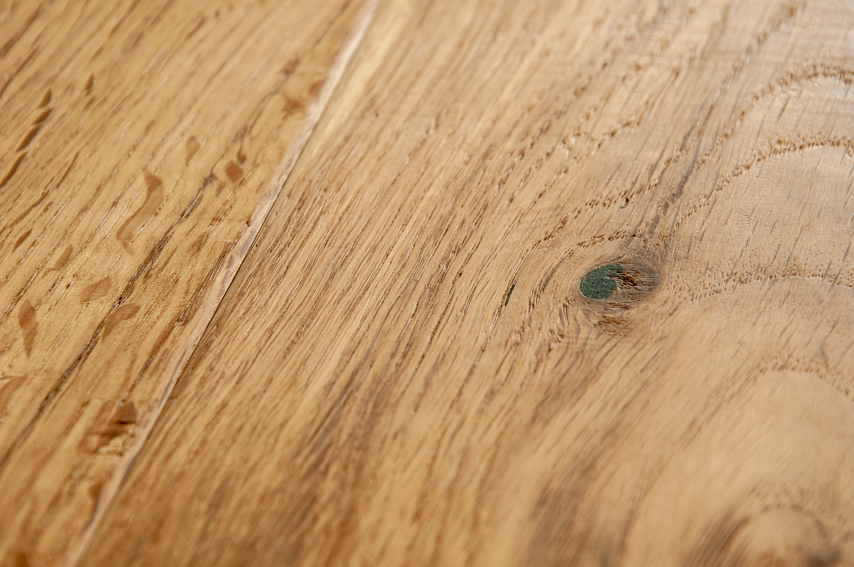 Oak No.13 - Mortimer