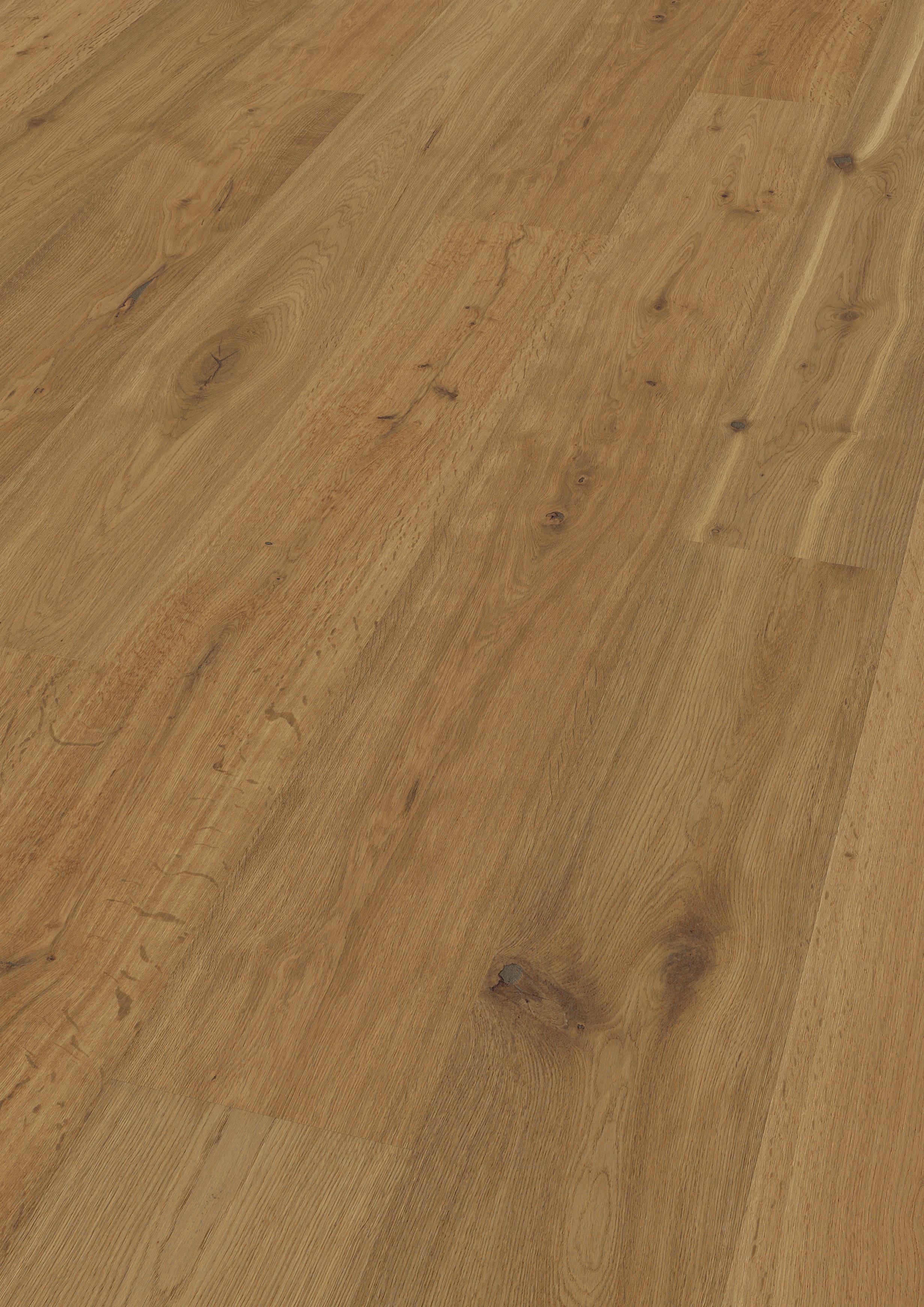 Oak Yosemite