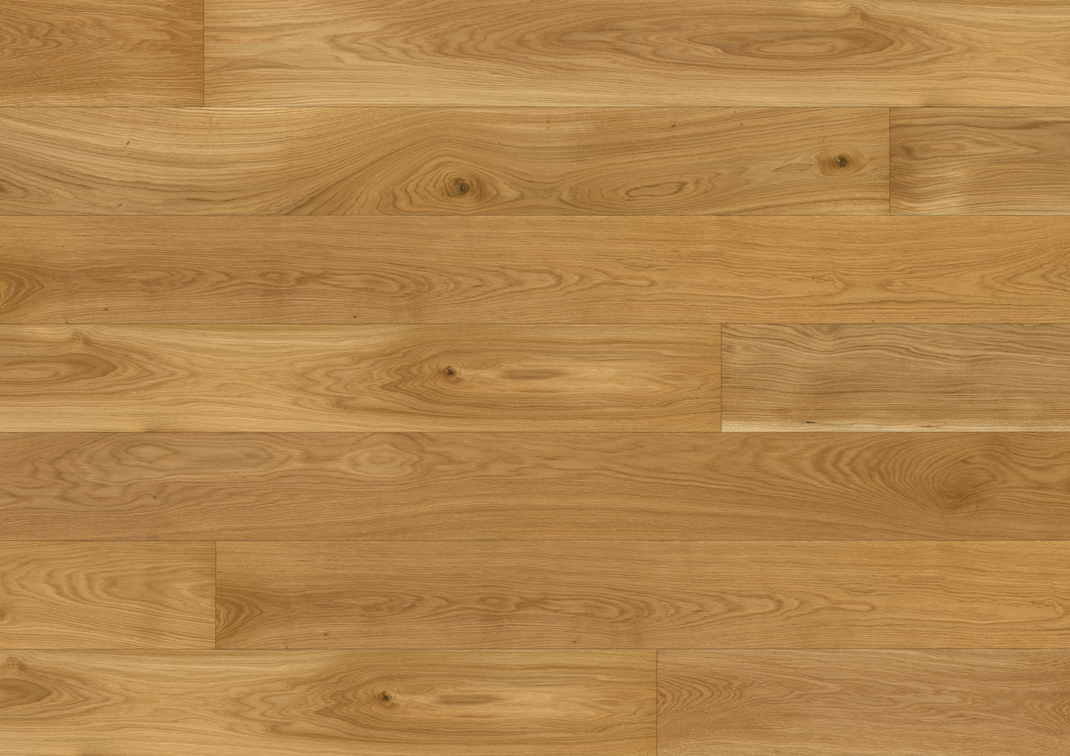 Oak
