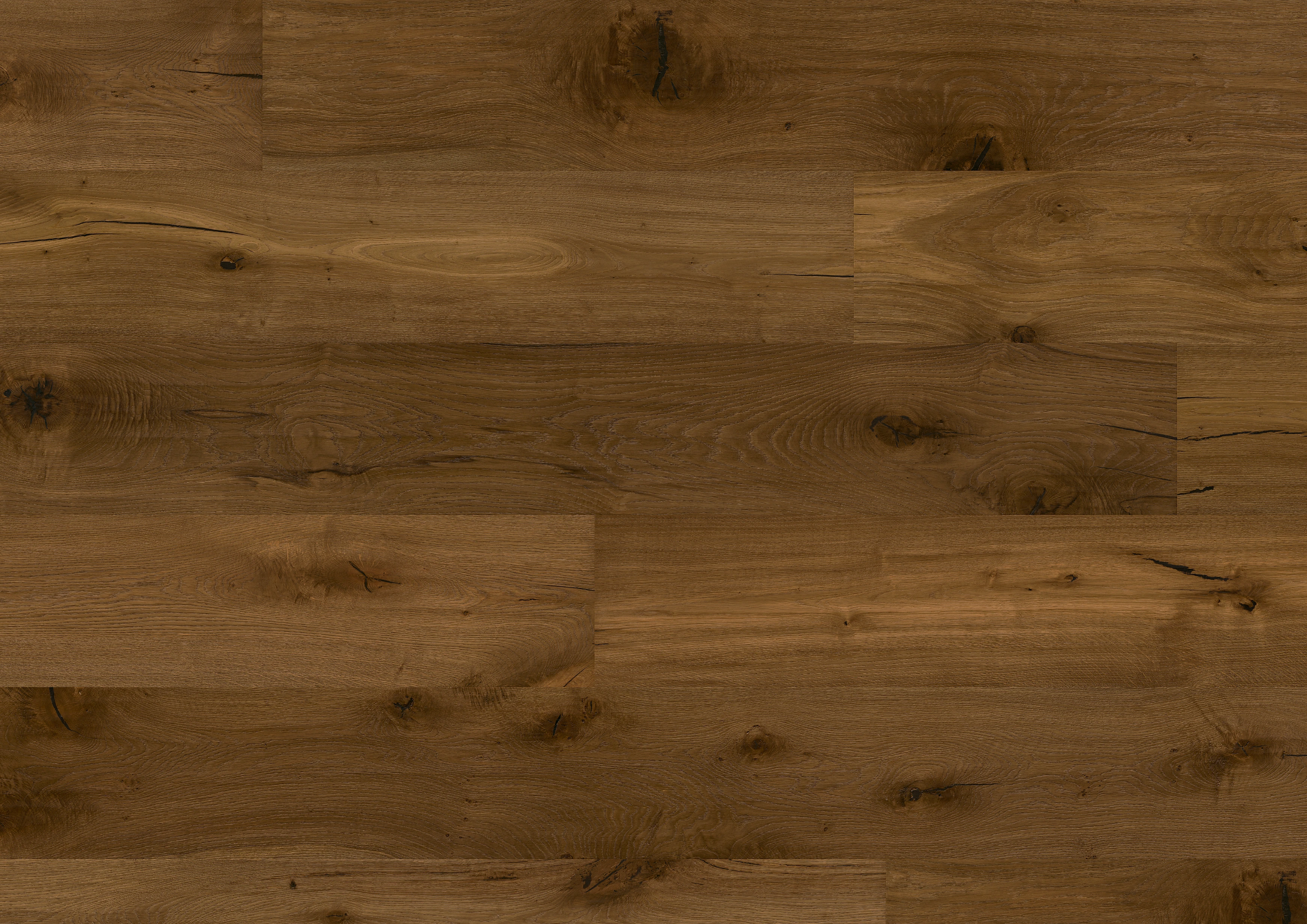 Oak No. 23 - Hampton