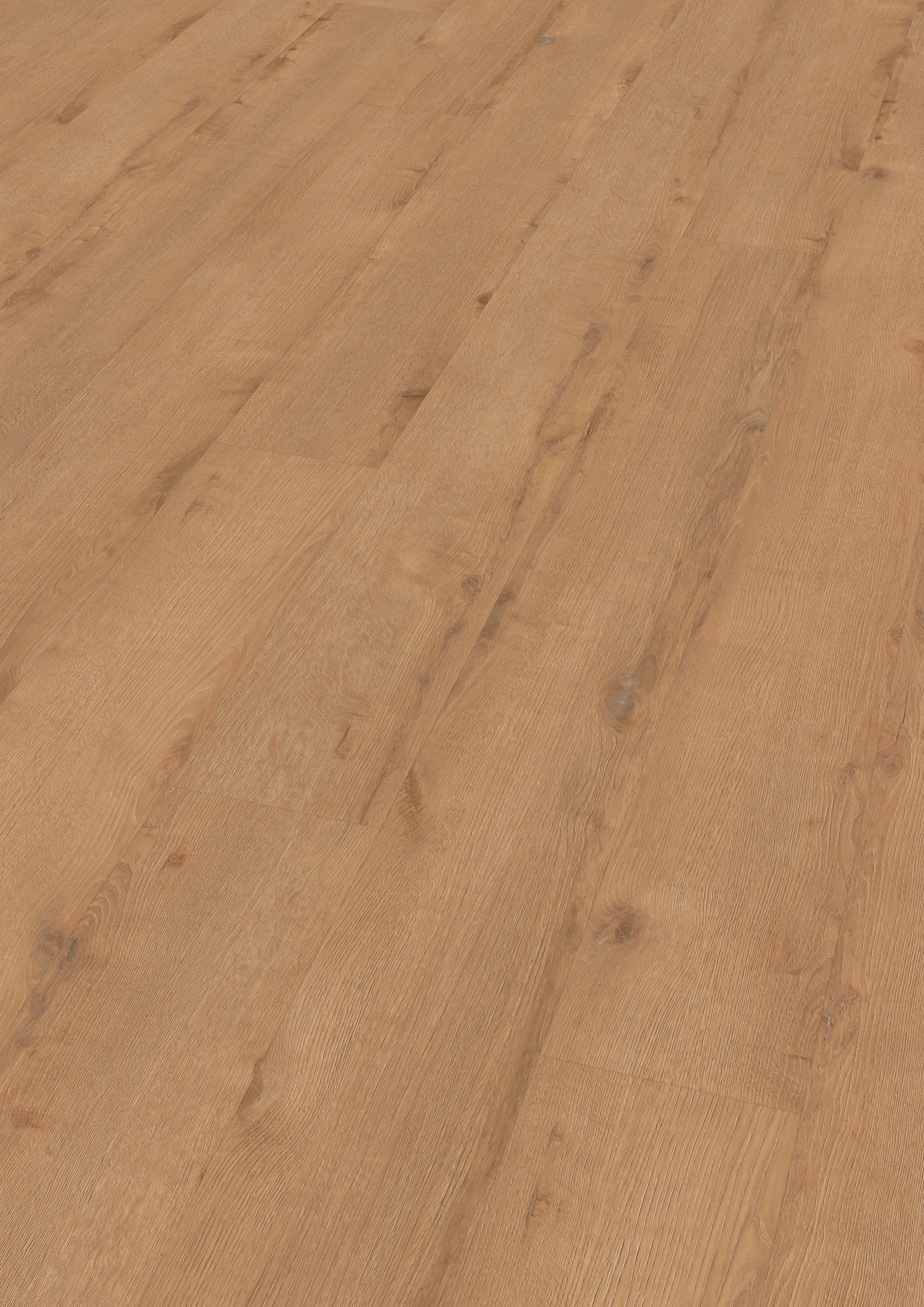 Oak Hamburg