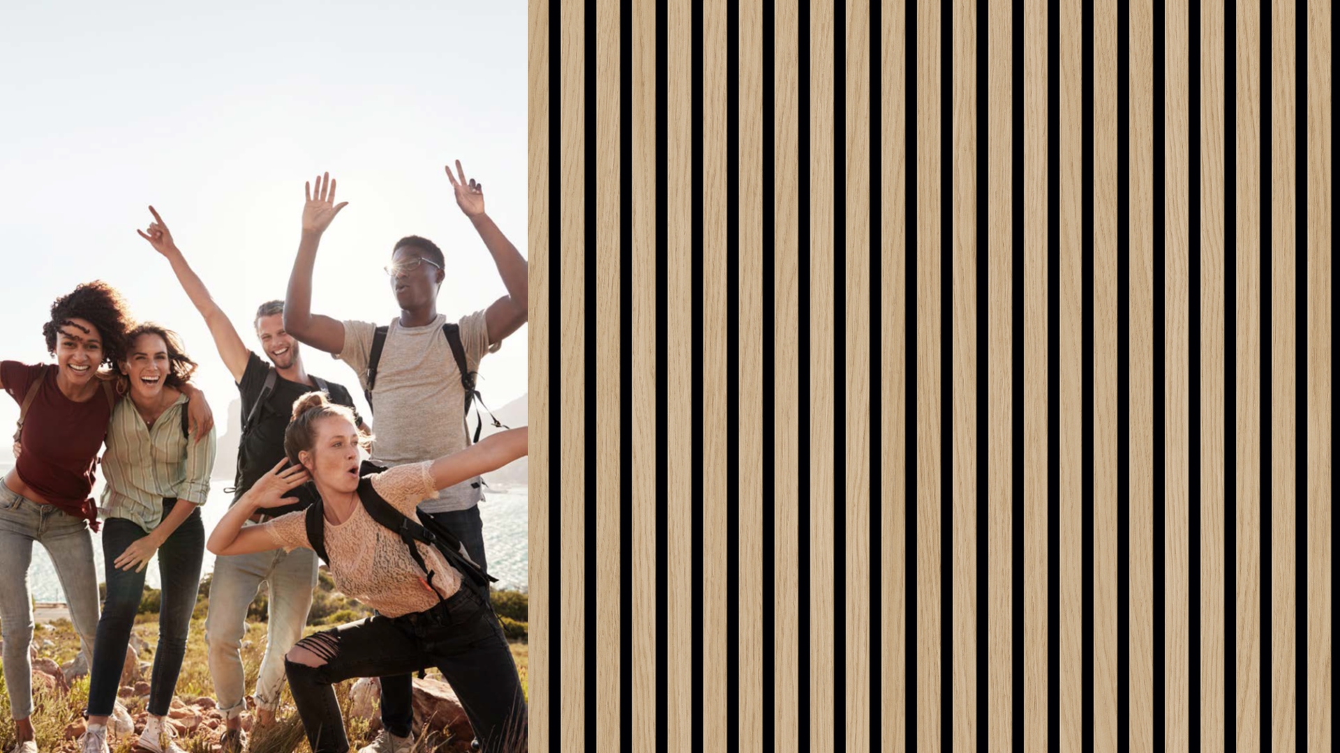 Akustikpaneele Friends