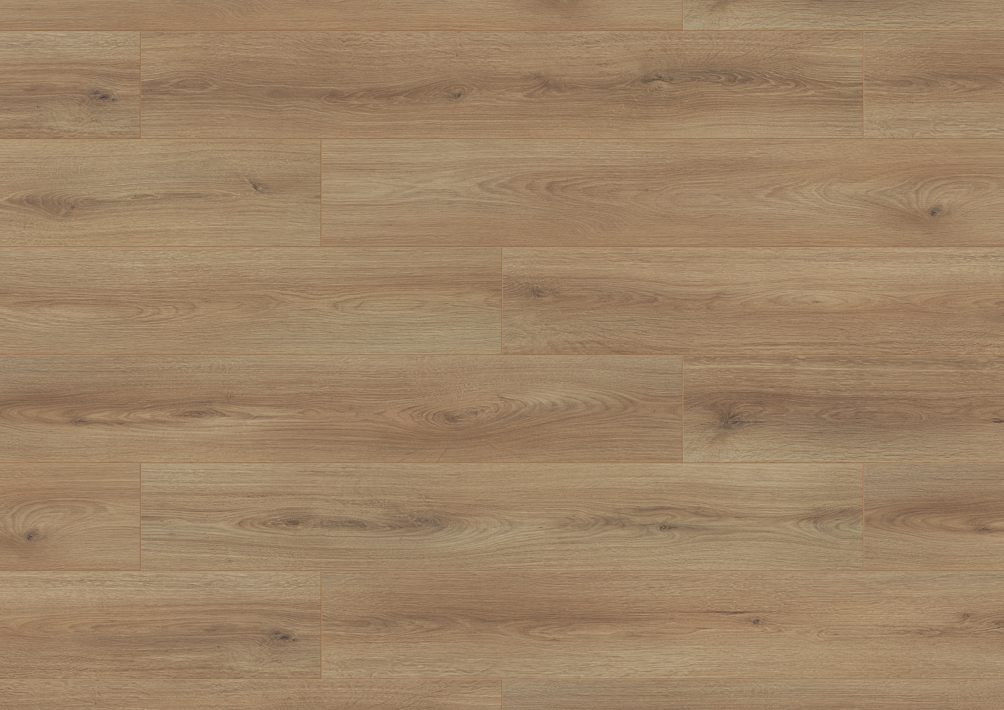 Oak Aurelia | 1188020006