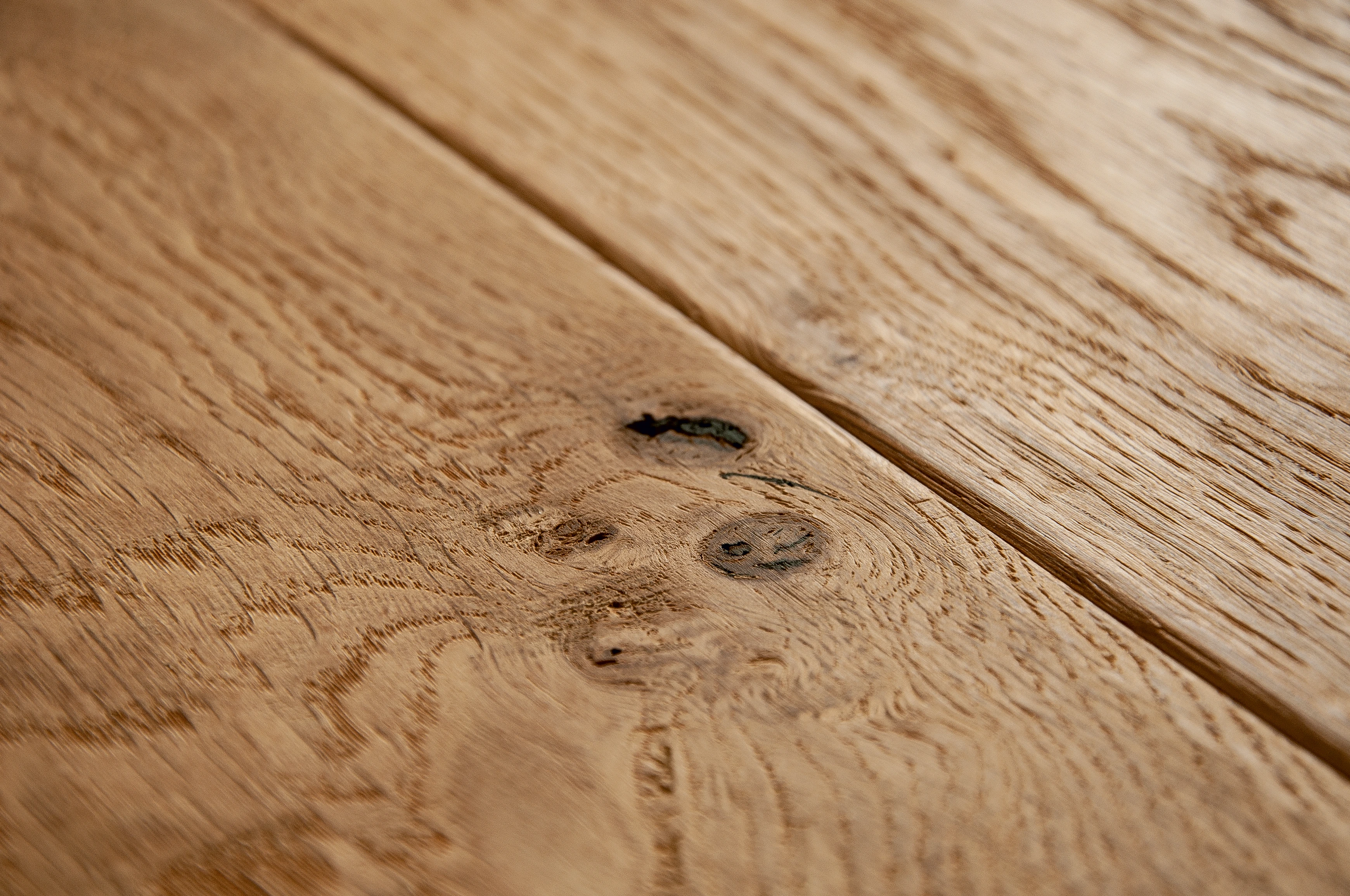 Oak No.11 - Salisbury
