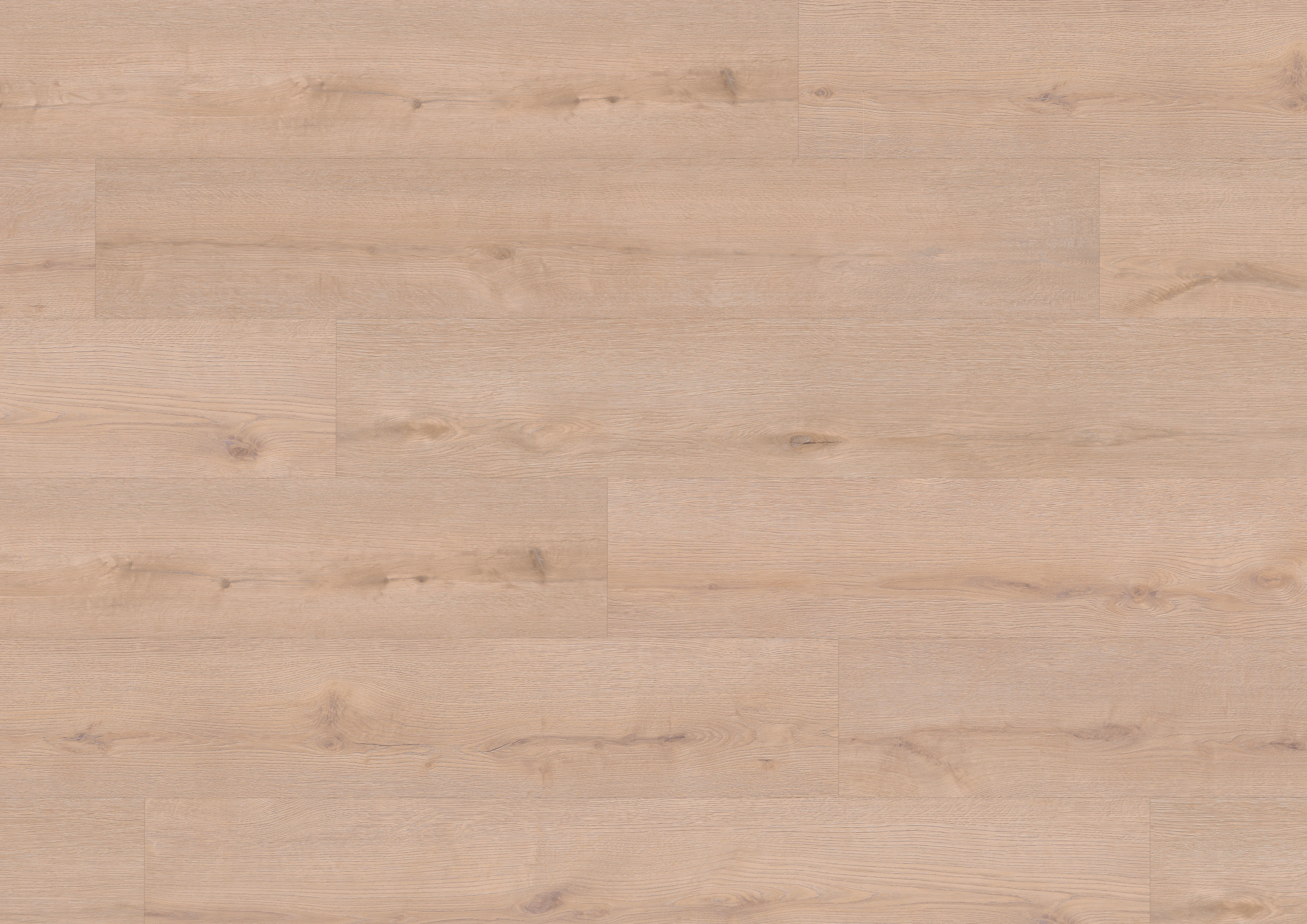 Oak Stettin
