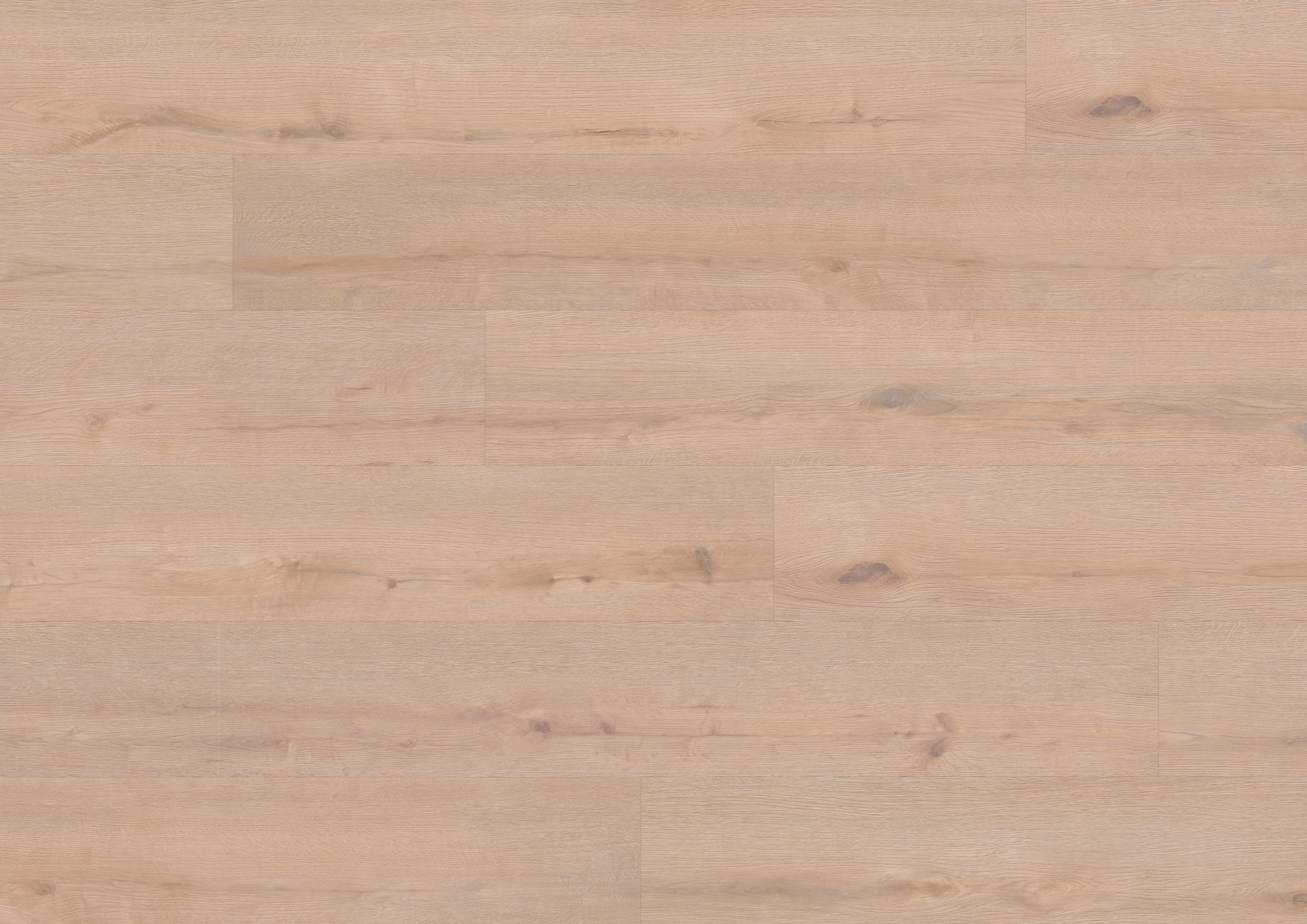 Oak Stettin